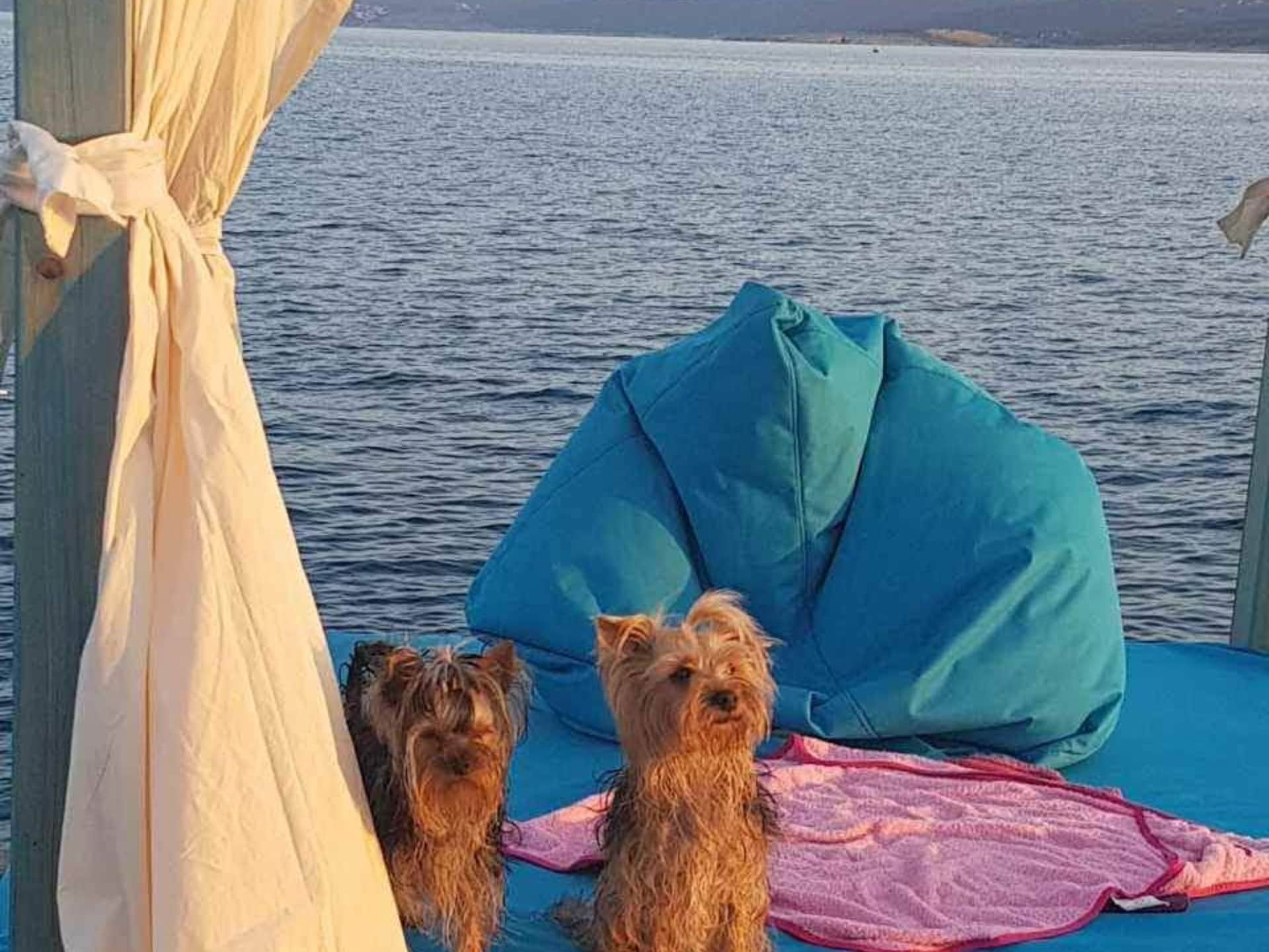 Appartement op 300 m van het strand in Rab met zeezicht - foto 23
