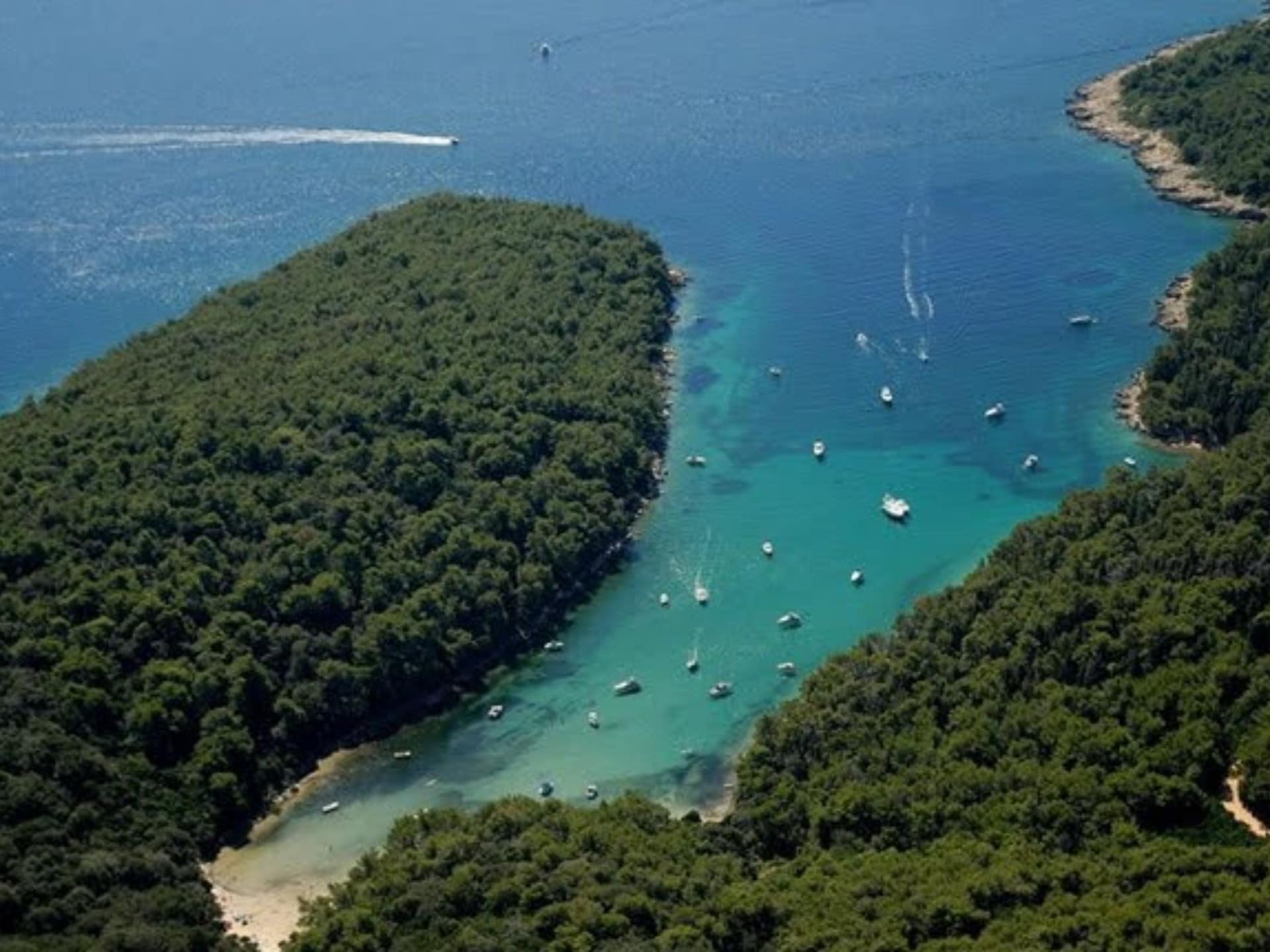 Appartement op 300 m van het strand in Rab met zeezicht - foto 28