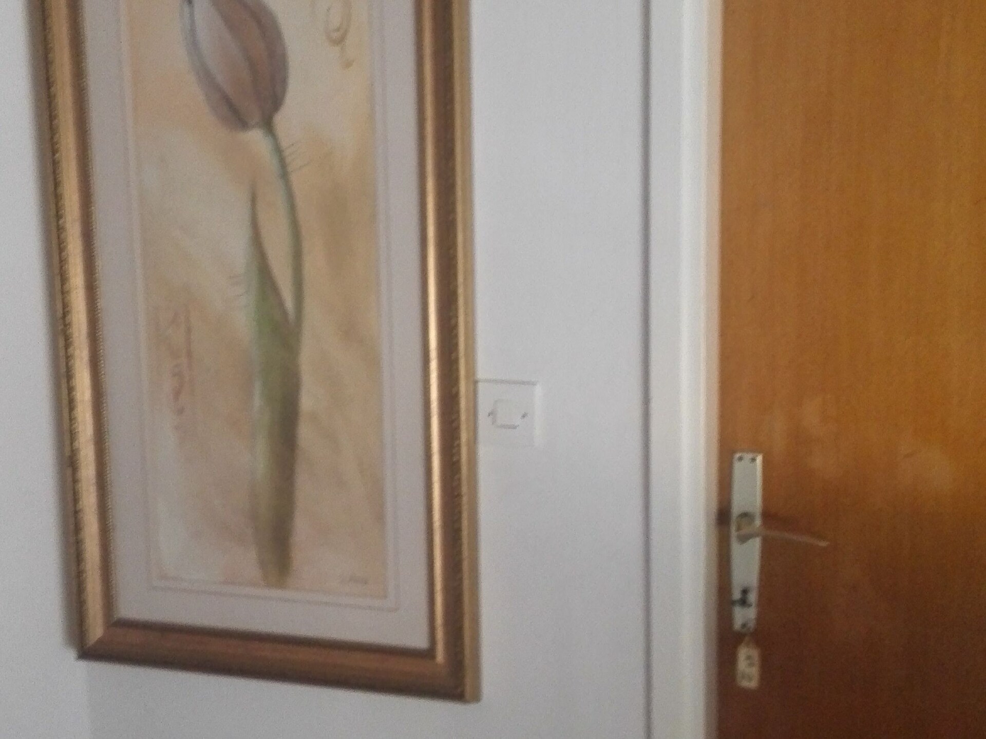 Appartement op 300 m van het strand in Rab met zeezicht - foto 21