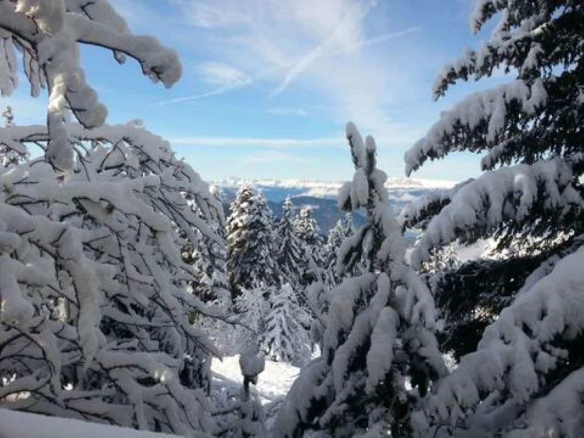 2-persoons chalet in Chamrousse op 1,0 km van de piste - foto 7