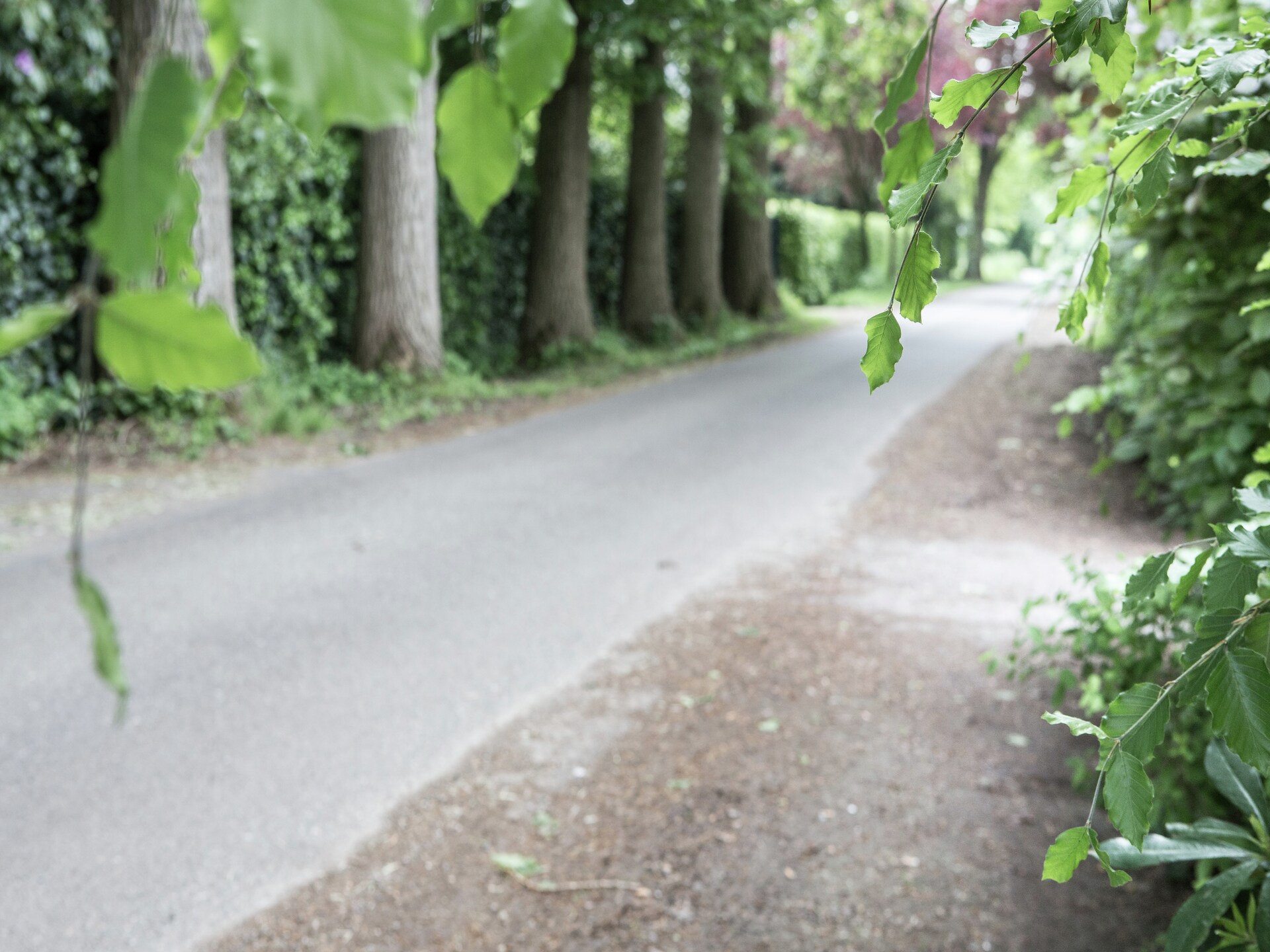 Vrijstaand vakantiehuis voor 7 in de bossen van Westmalle met privétuin - foto 26