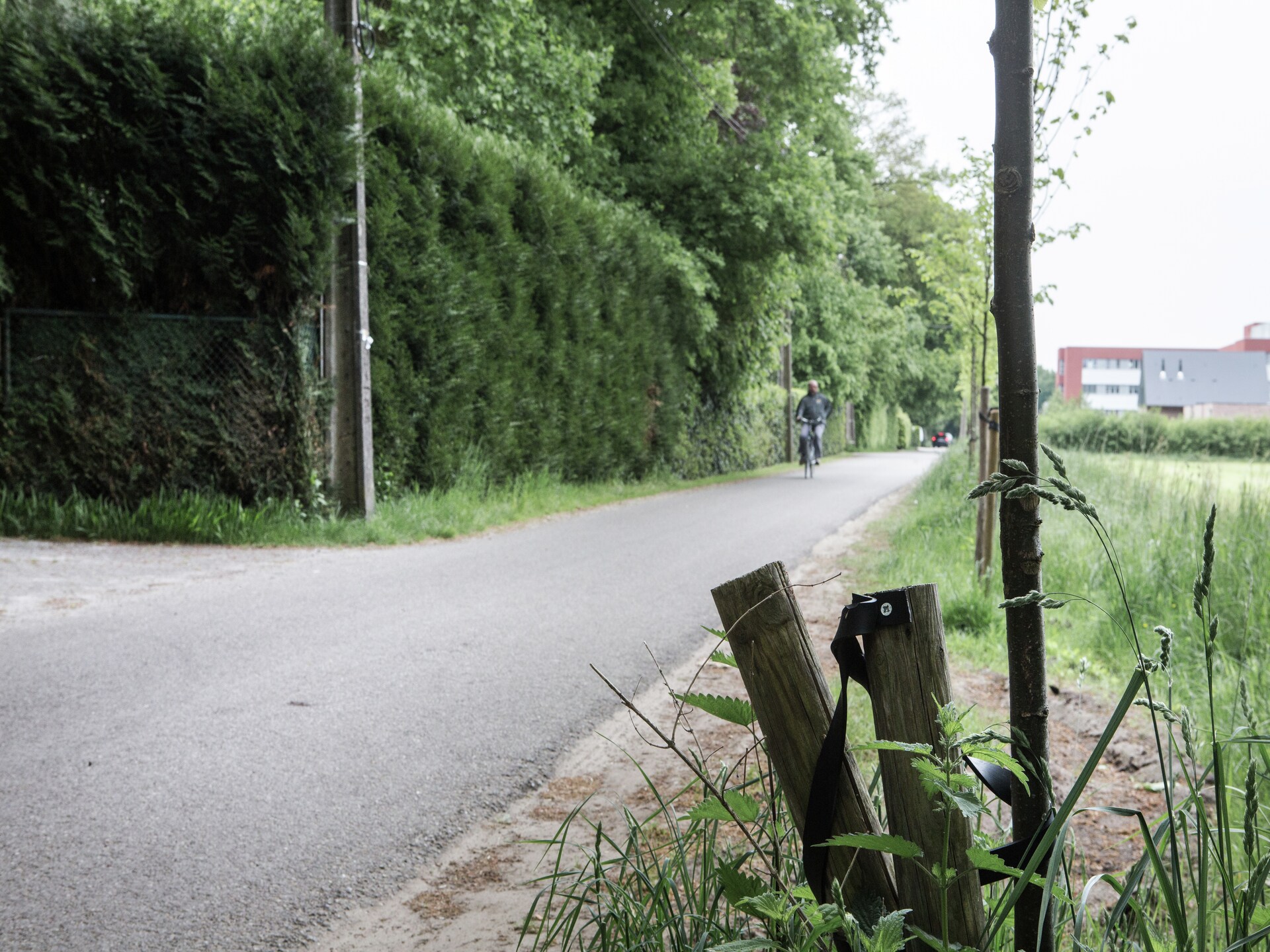 Vrijstaand vakantiehuis voor 7 in de bossen van Westmalle met privétuin - foto 24