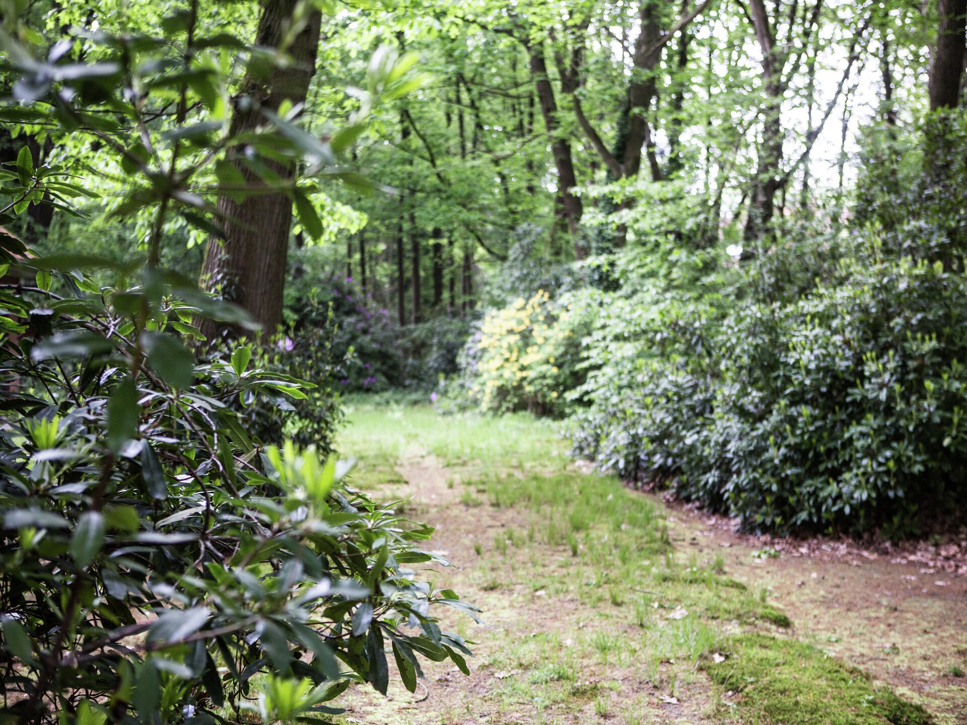 Vrijstaand vakantiehuis voor 7 in de bossen van Westmalle met privétuin - foto 22