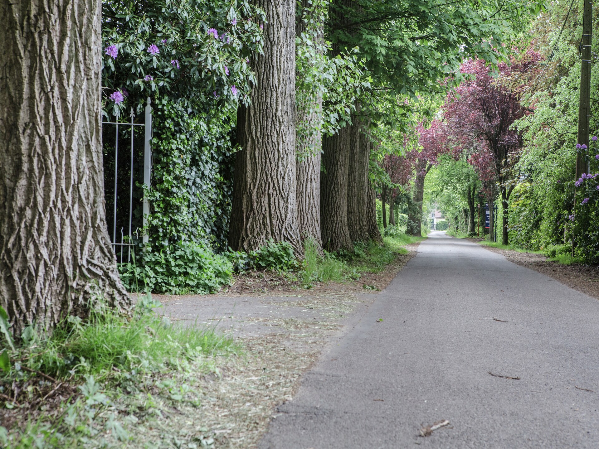 Vrijstaand vakantiehuis voor 7 in de bossen van Westmalle met privétuin - foto 27