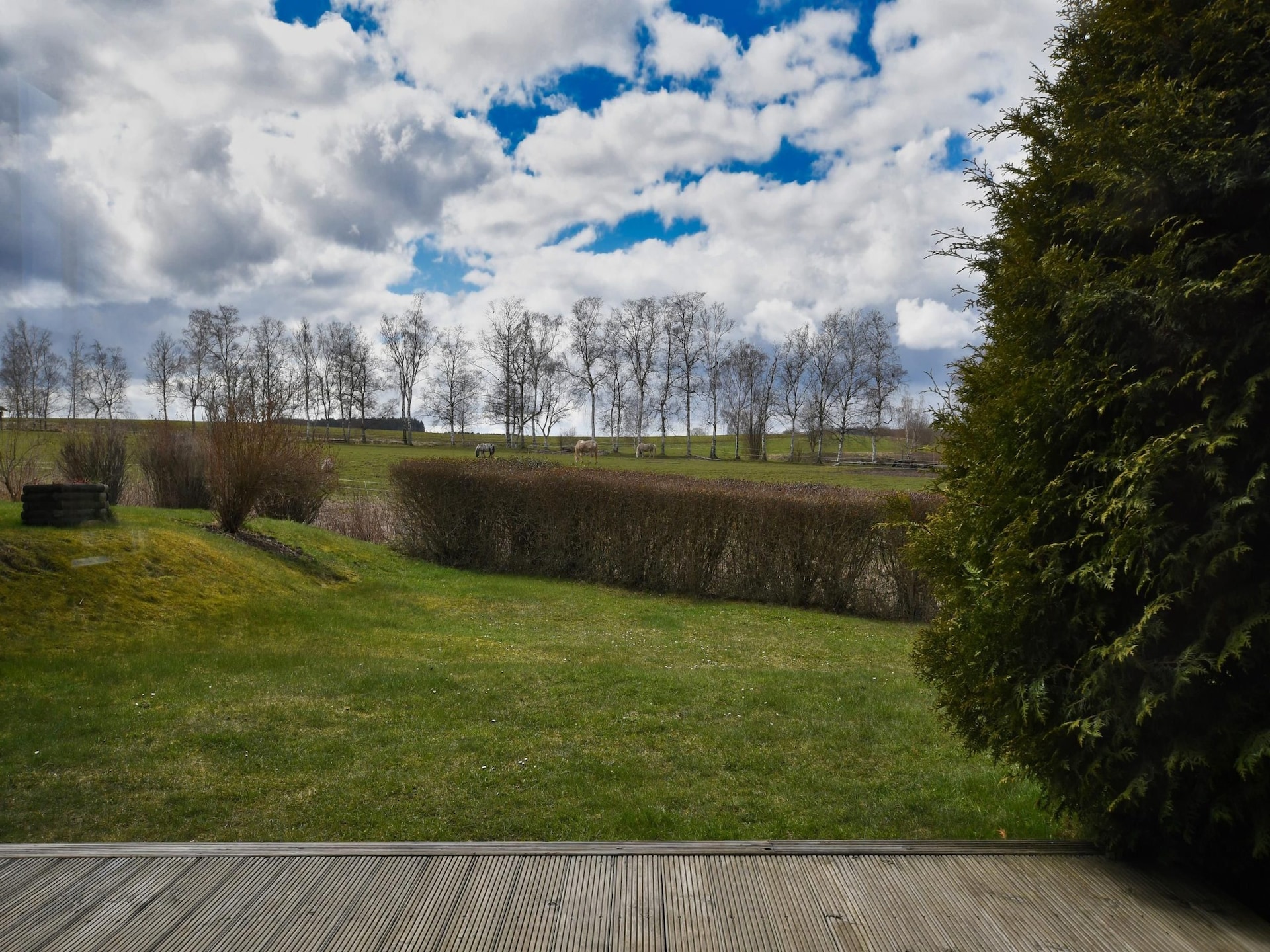 Aan de piste: Comfortabel vakantiehuis in Hasselfelde voor 4 personen - foto 15
