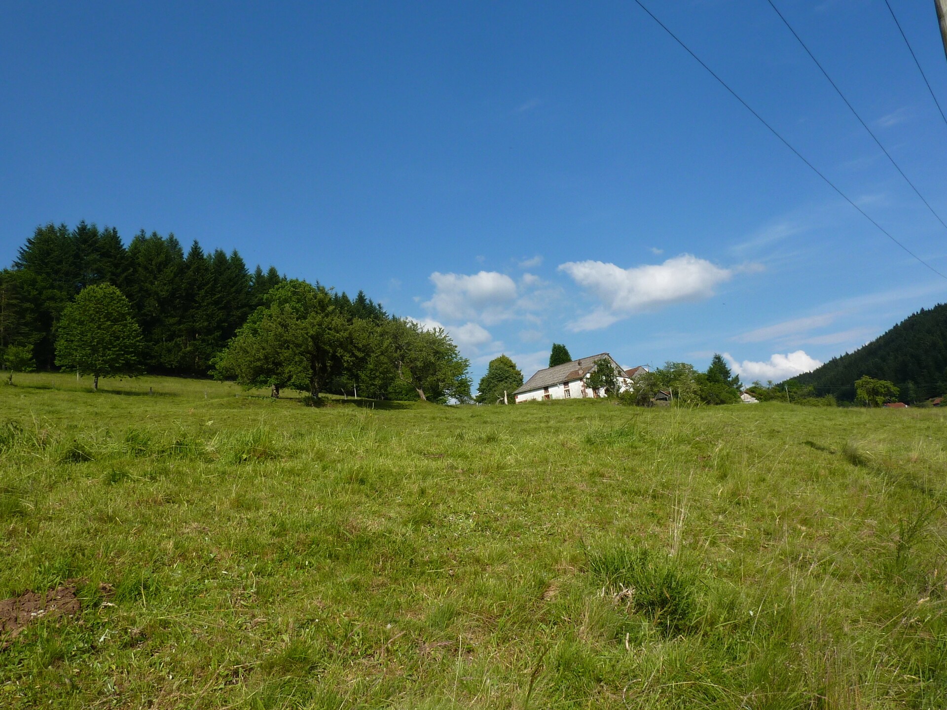 Genevieve 1: Knusse natuurretraite voor 4 in de bossen van Vagney - foto 3