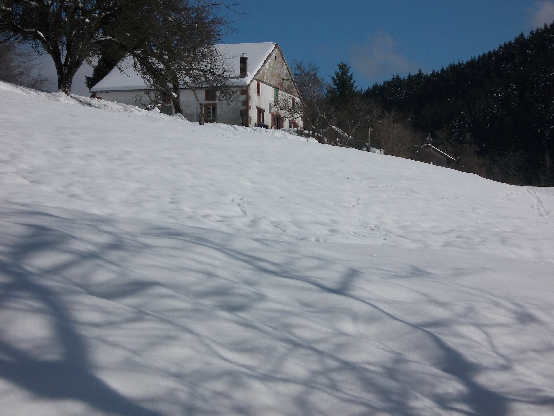 Genevieve 1: Knusse natuurretraite voor 4 in de bossen van Vagney - foto 37