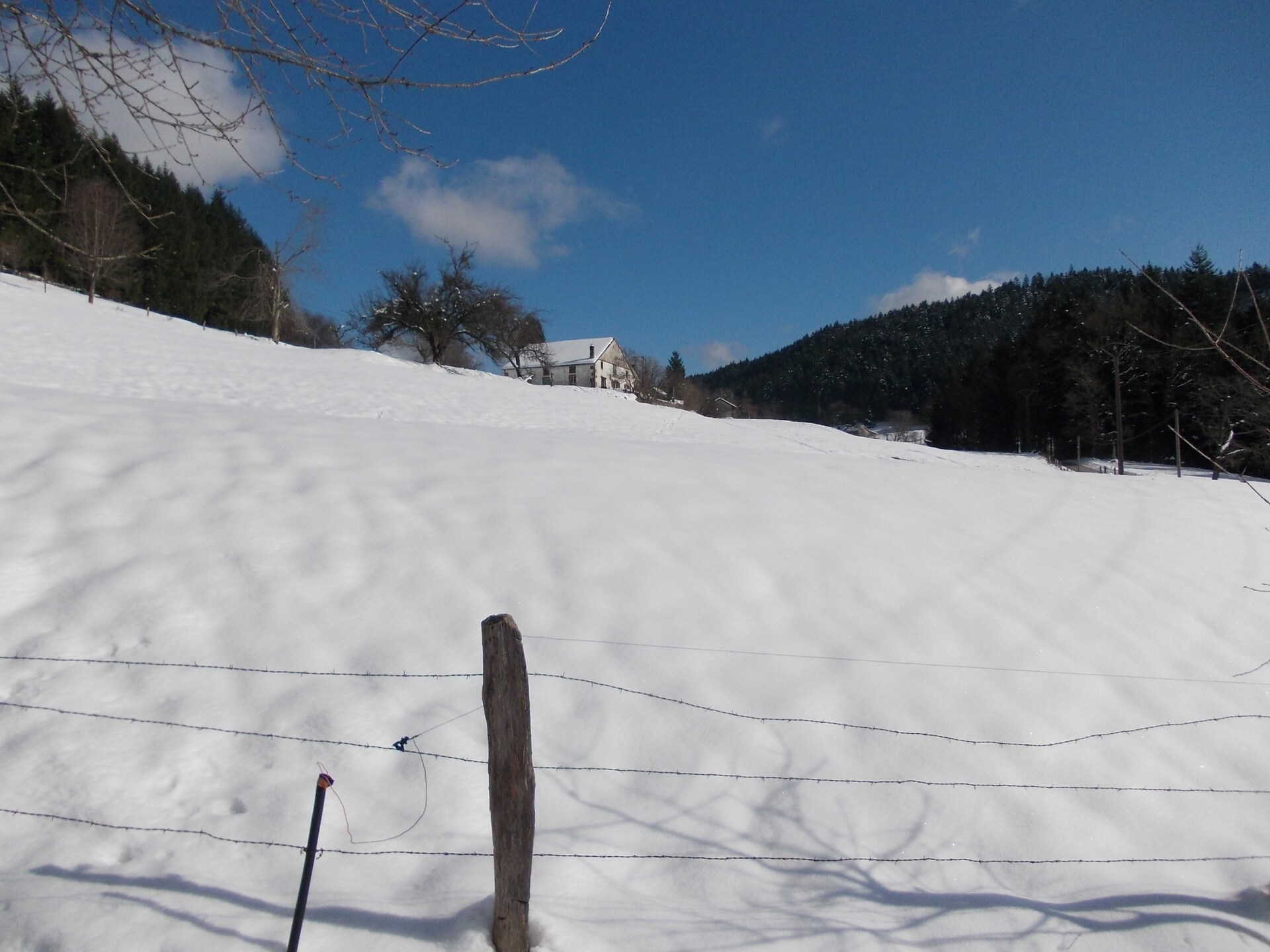 Genevieve 1: Knusse natuurretraite voor 4 in de bossen van Vagney - foto 40