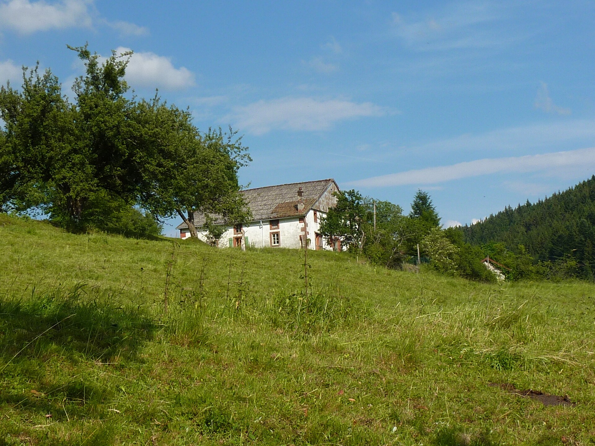 Genevieve 1: Knusse natuurretraite voor 4 in de bossen van Vagney - foto 7