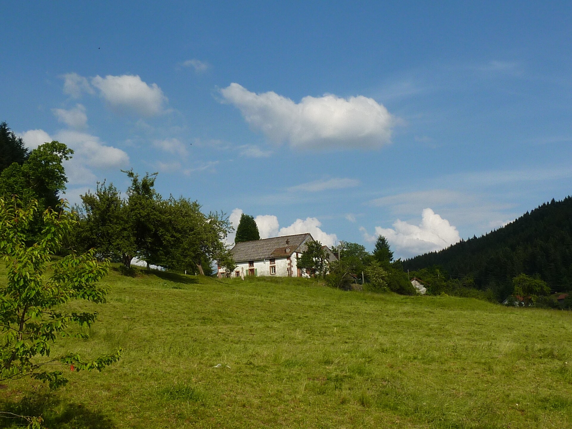 Genevieve 1: Knusse natuurretraite voor 4 in de bossen van Vagney - foto 9