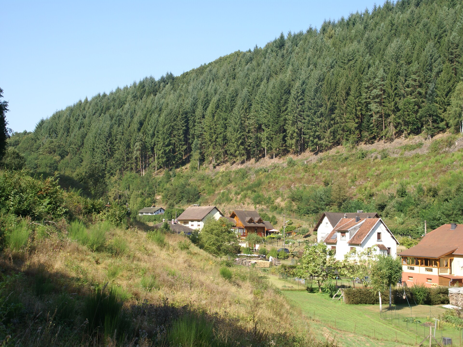 Genevieve 1: Knusse natuurretraite voor 4 in de bossen van Vagney - foto 24