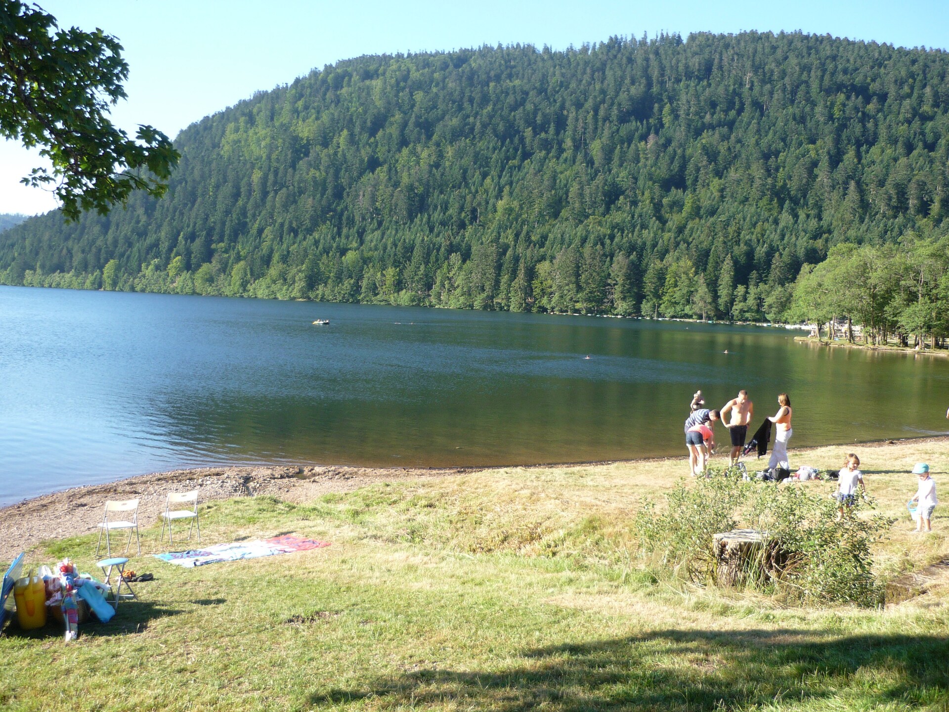 Genevieve 1: Knusse natuurretraite voor 4 in de bossen van Vagney - foto 29
