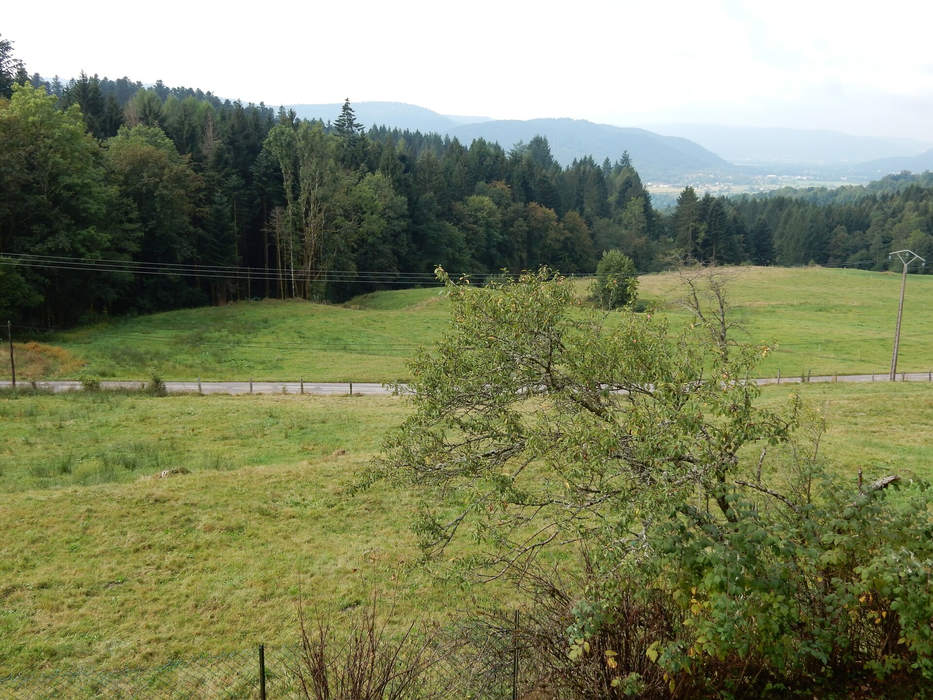 Genevieve 1: Knusse natuurretraite voor 4 in de bossen van Vagney - foto 20