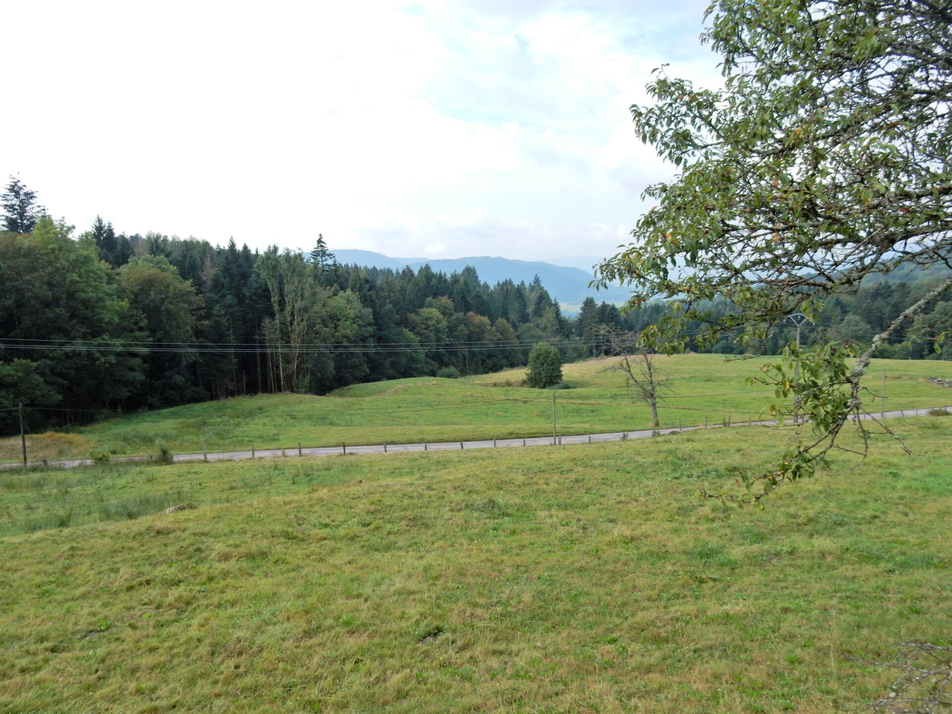 Genevieve 1: Knusse natuurretraite voor 4 in de bossen van Vagney - foto 18