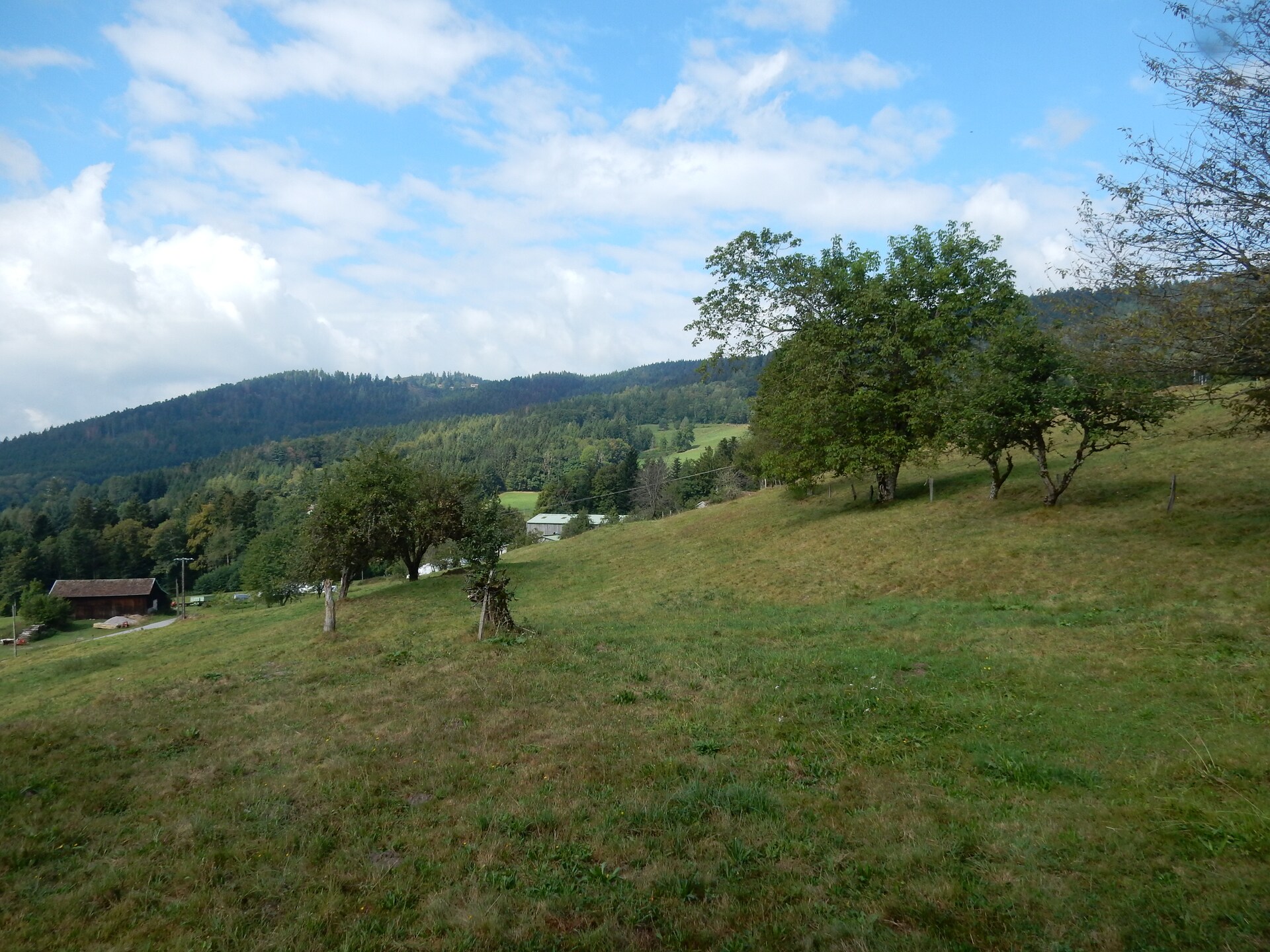 Genevieve 1: Knusse natuurretraite voor 4 in de bossen van Vagney - foto 21