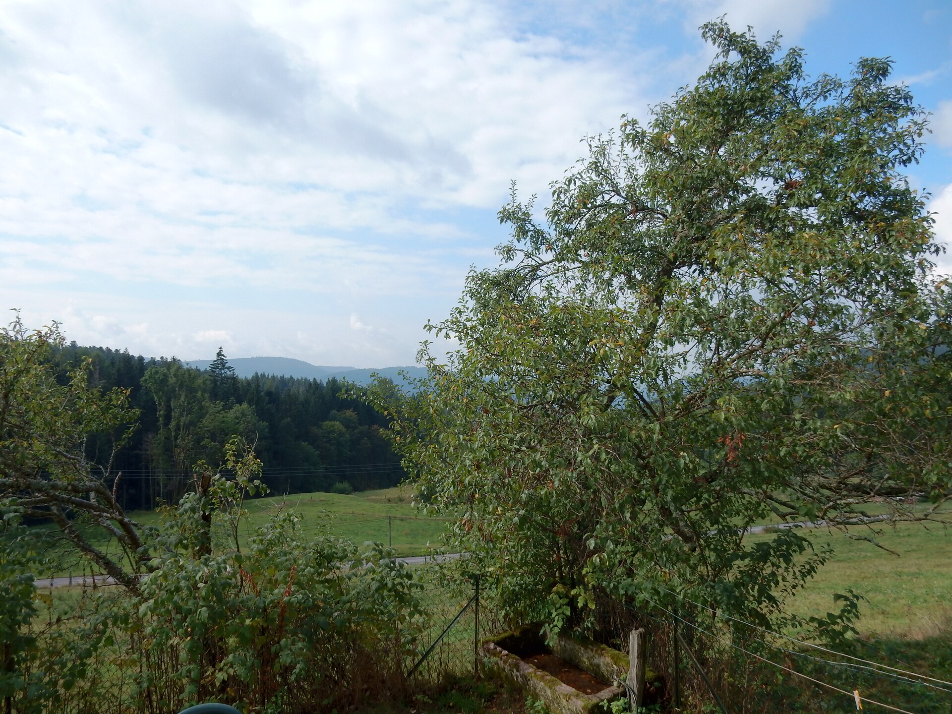 Genevieve 1: Knusse natuurretraite voor 4 in de bossen van Vagney - foto 22