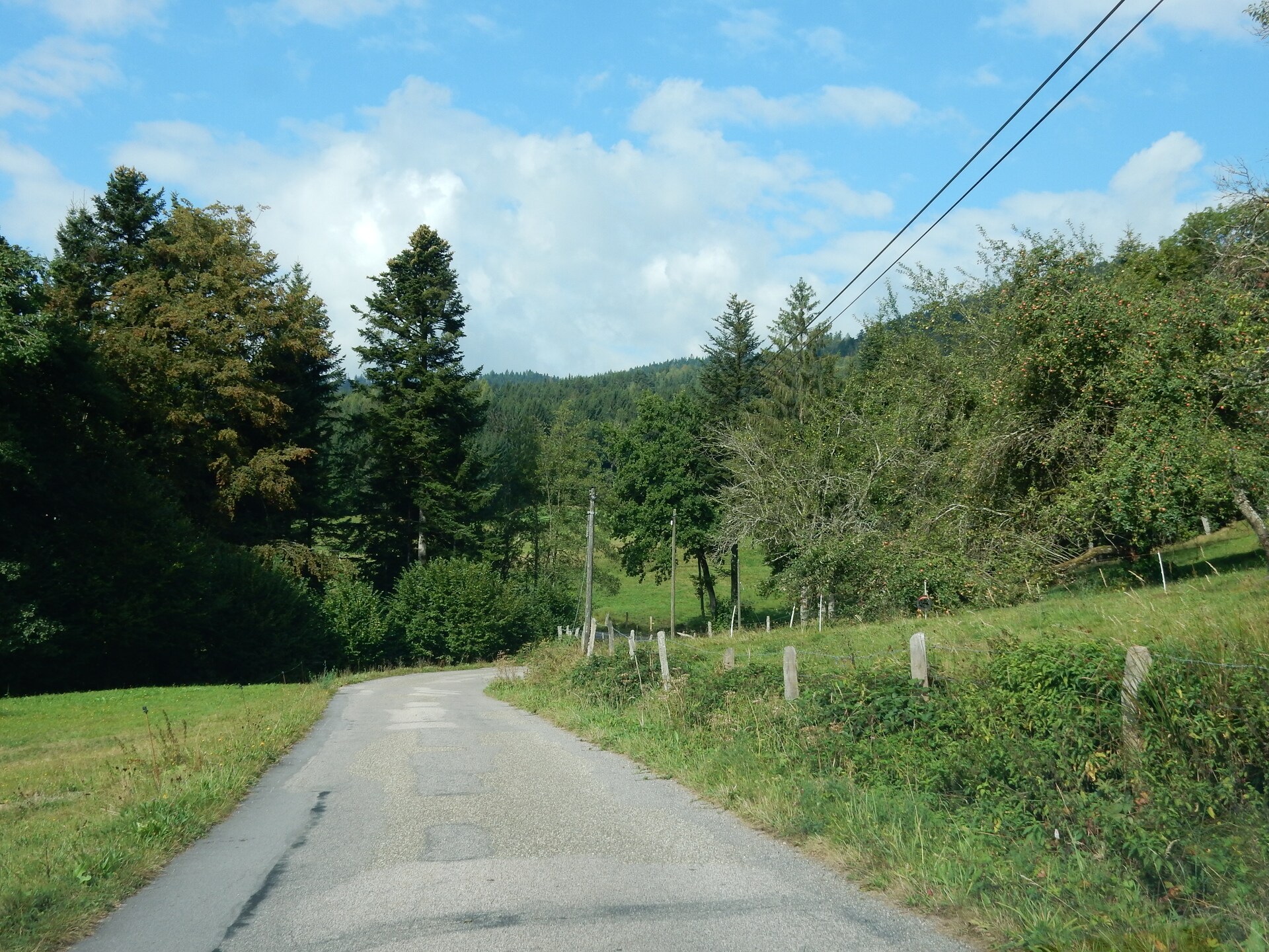 Genevieve 1: Knusse natuurretraite voor 4 in de bossen van Vagney - foto 23