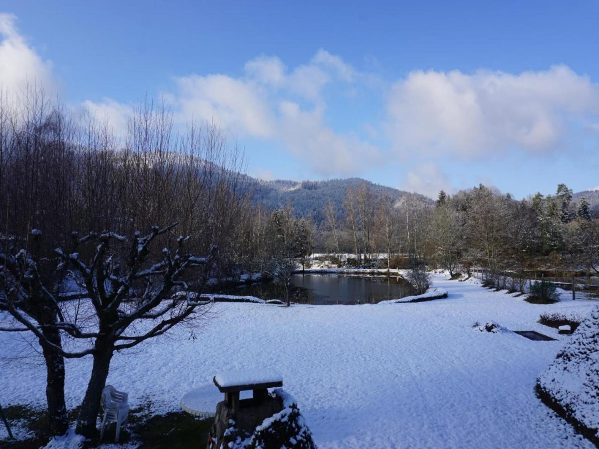 Genevieve 1: Knusse natuurretraite voor 4 in de bossen van Vagney - foto 38