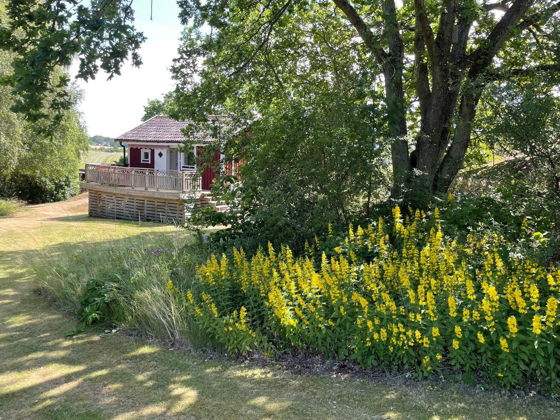 Knus vakantiehuis op rots met zeezicht bij Senoren, dichtbij Karlskrona - foto 9