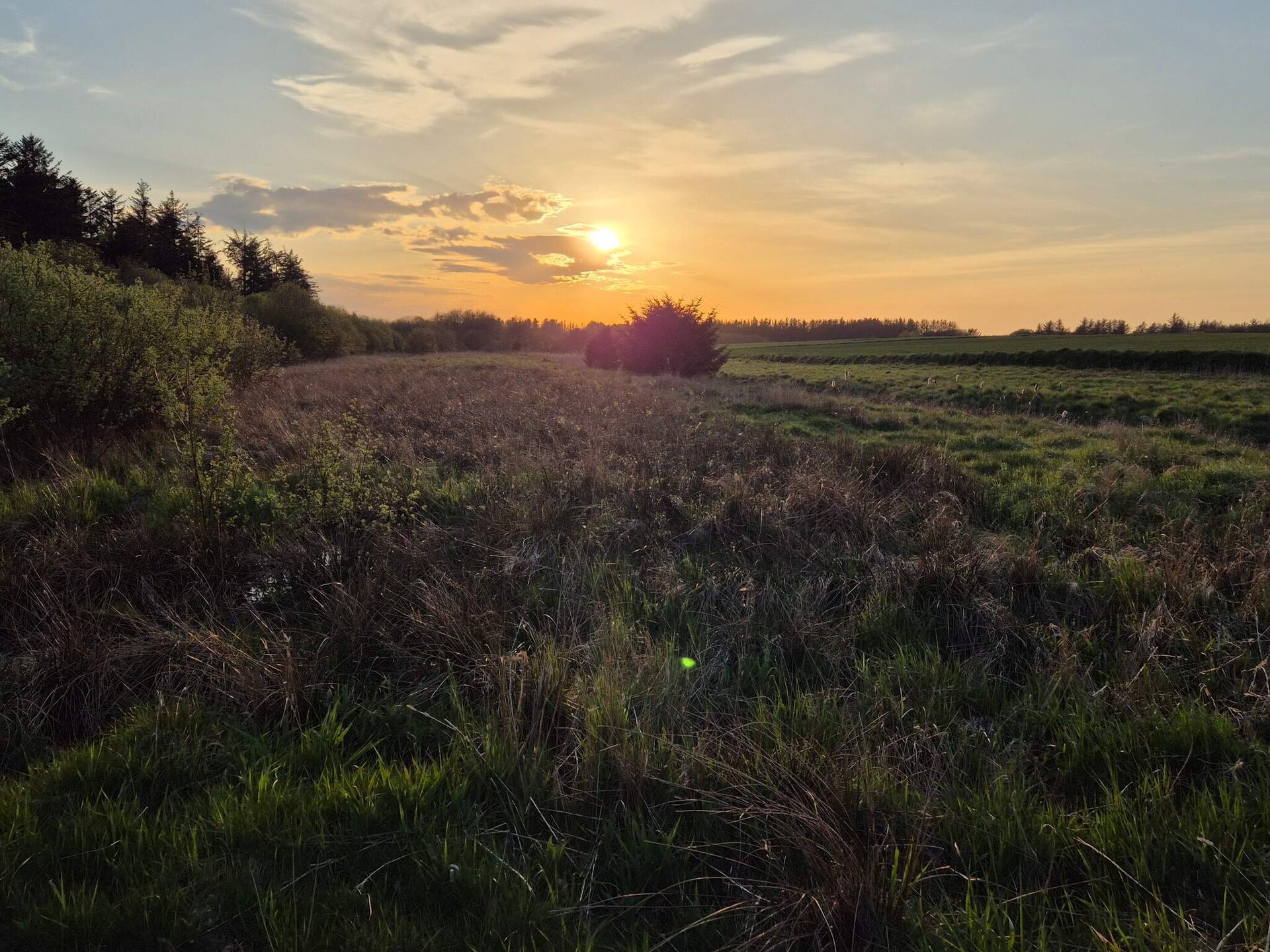 Ruim vakantiehuis met balkon bij Blokhus en Saltum, vlakbij zee - foto 7