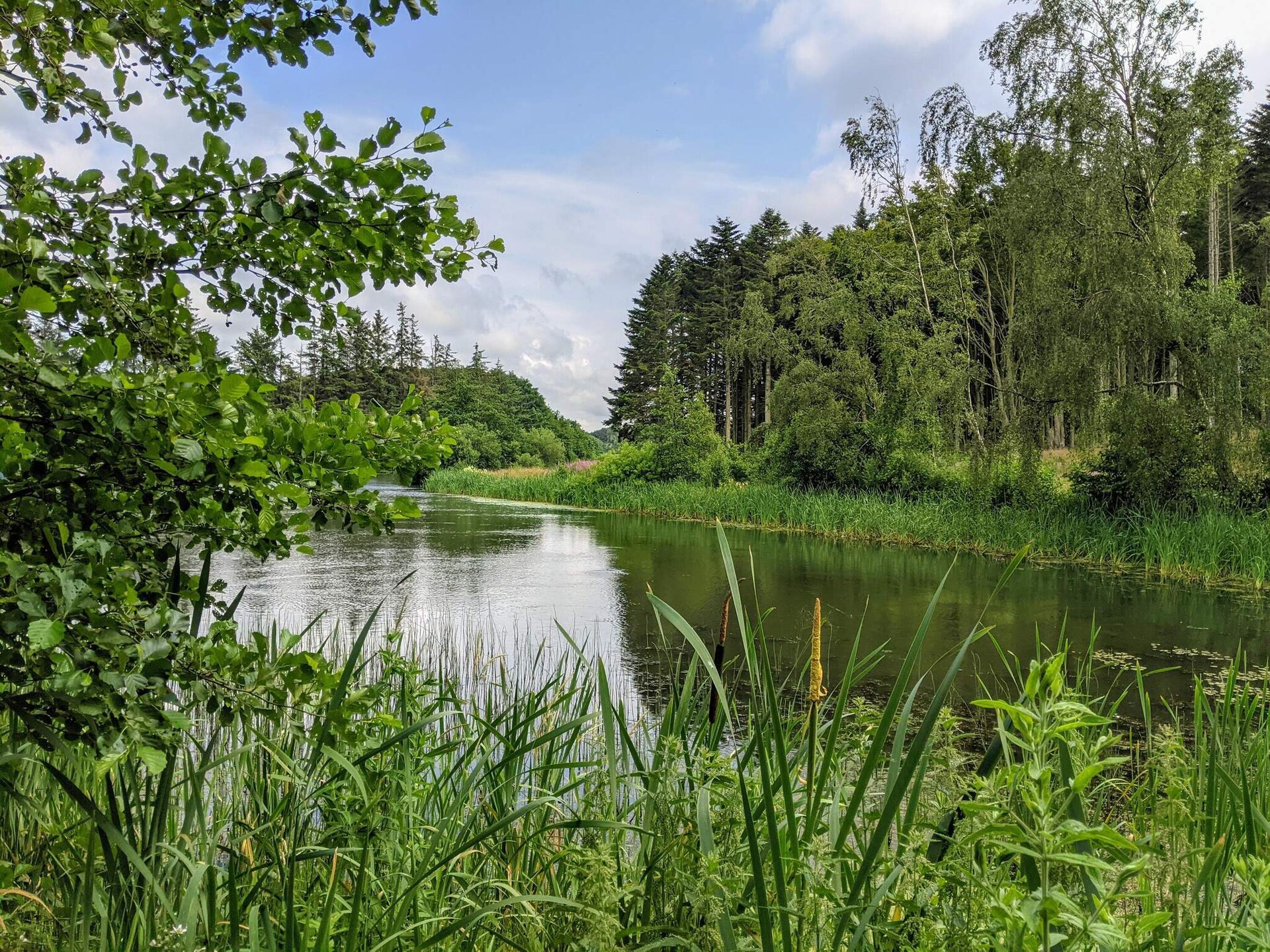 Ruim vakantiehuis met balkon bij Blokhus en Saltum, vlakbij zee - foto 18