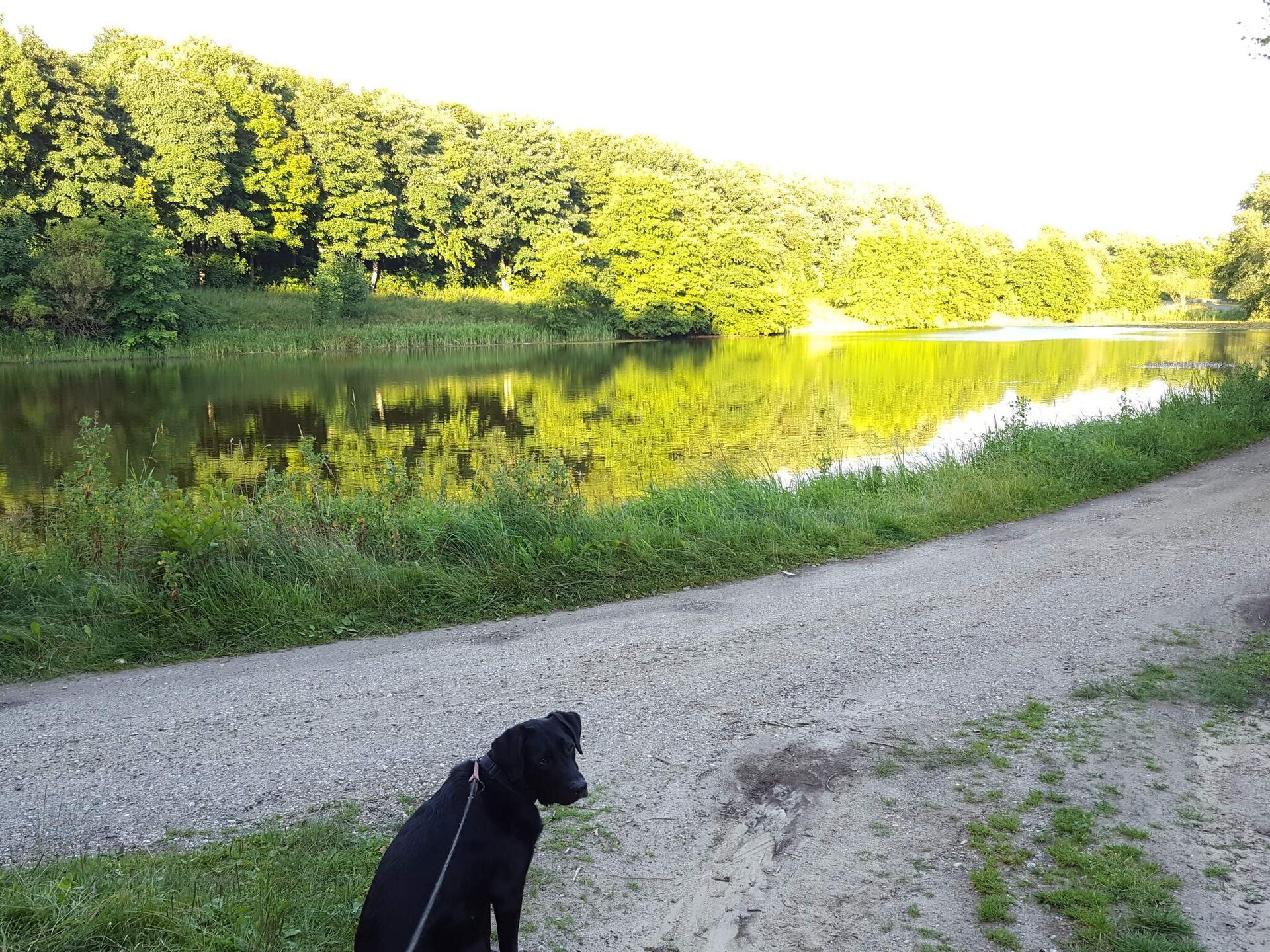 Ruim vakantiehuis met balkon bij Blokhus en Saltum, vlakbij zee - foto 20