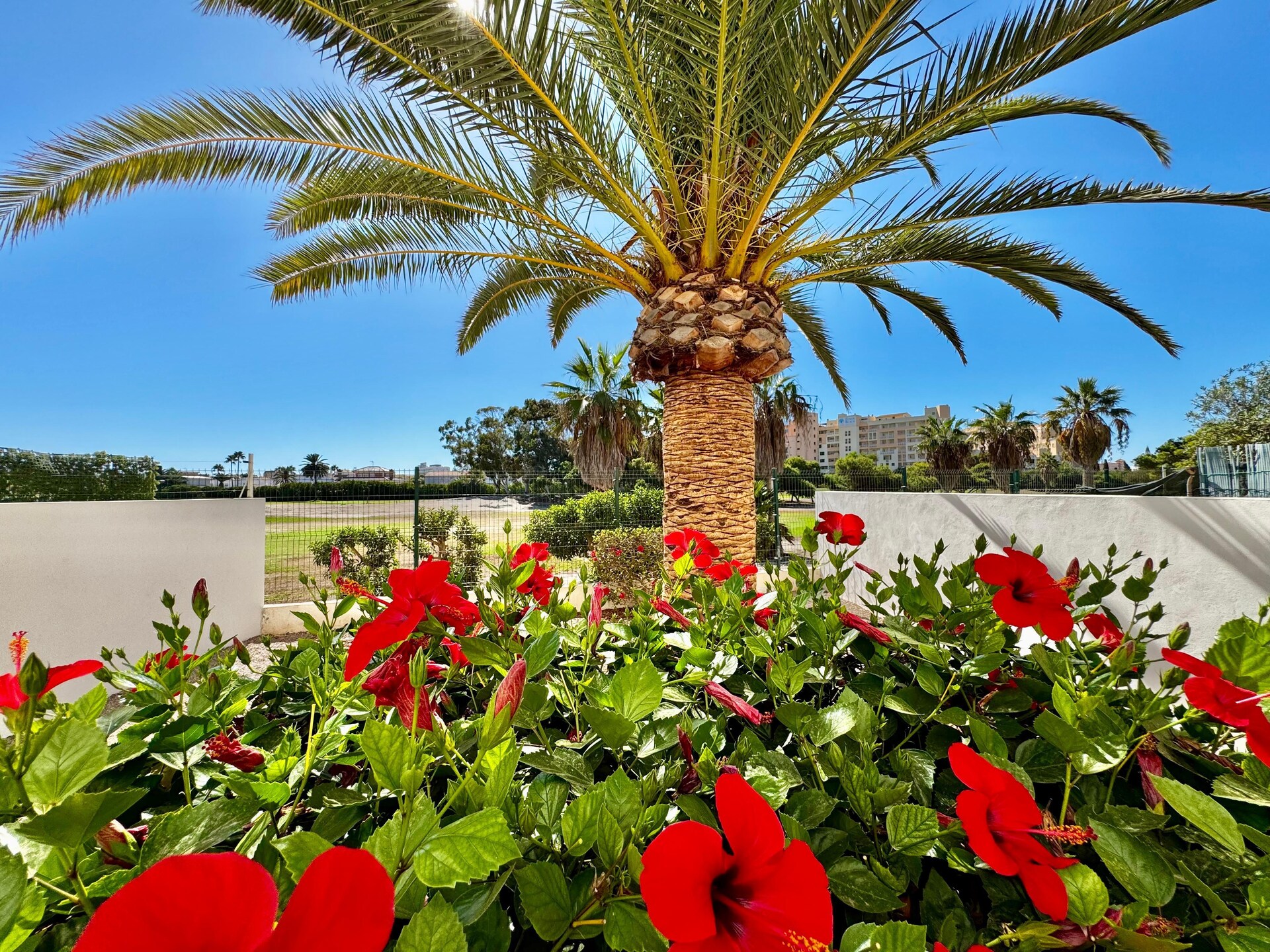 4-persoons appartement in Roquetas de Mar nabij strand en golf · 80 m² - foto 25