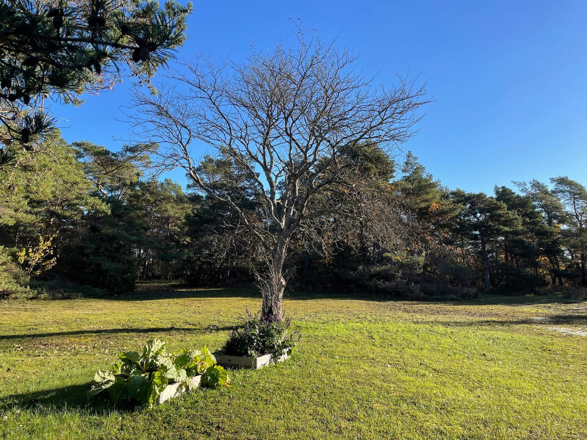 Vrijstaande villa aan de golfbaan in Visby, vlakbij zee en centrum - foto 8