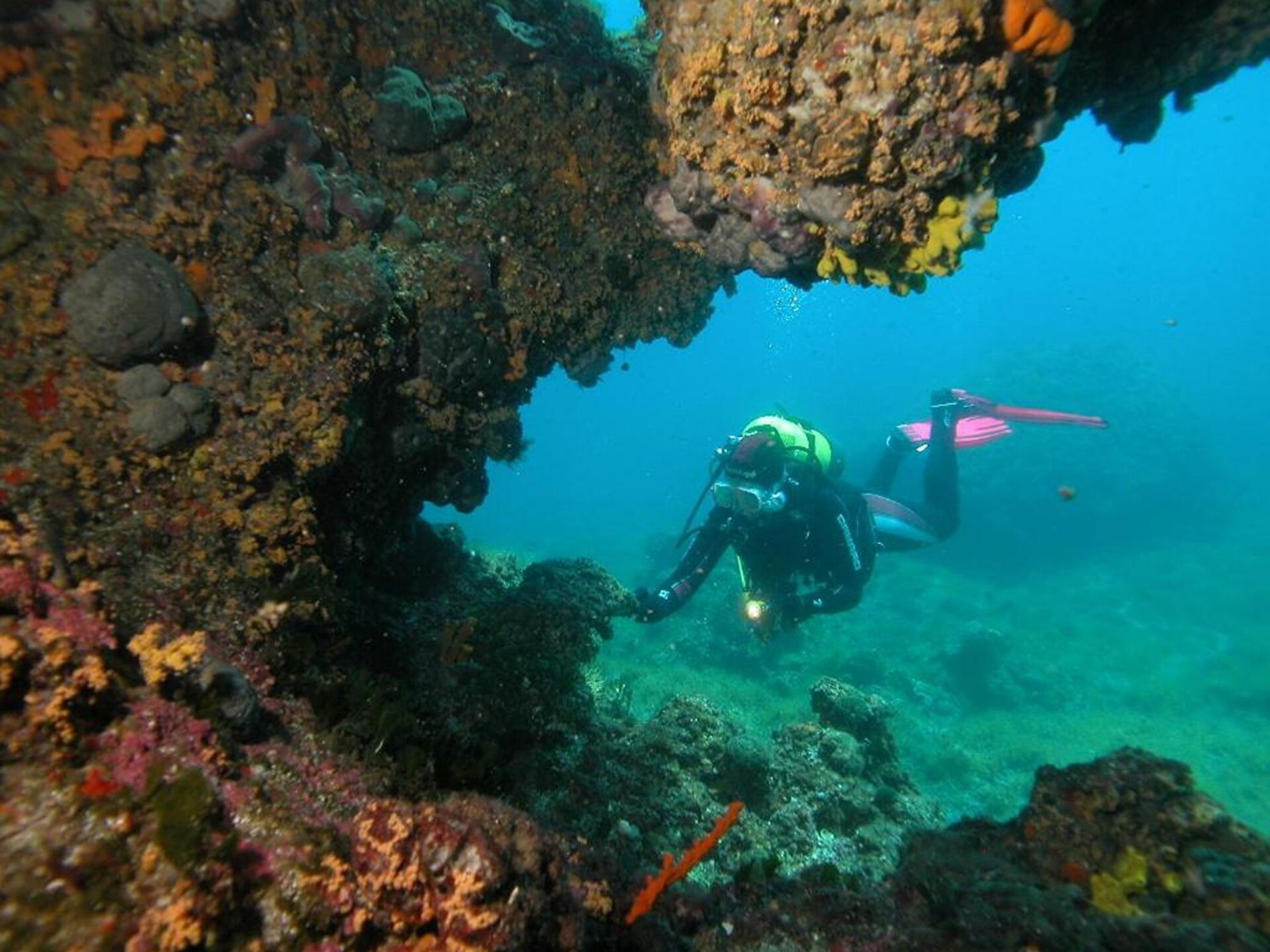 Rab Diving Mirko: sfeervol appartement met zeezicht op eiland Rab - foto 18