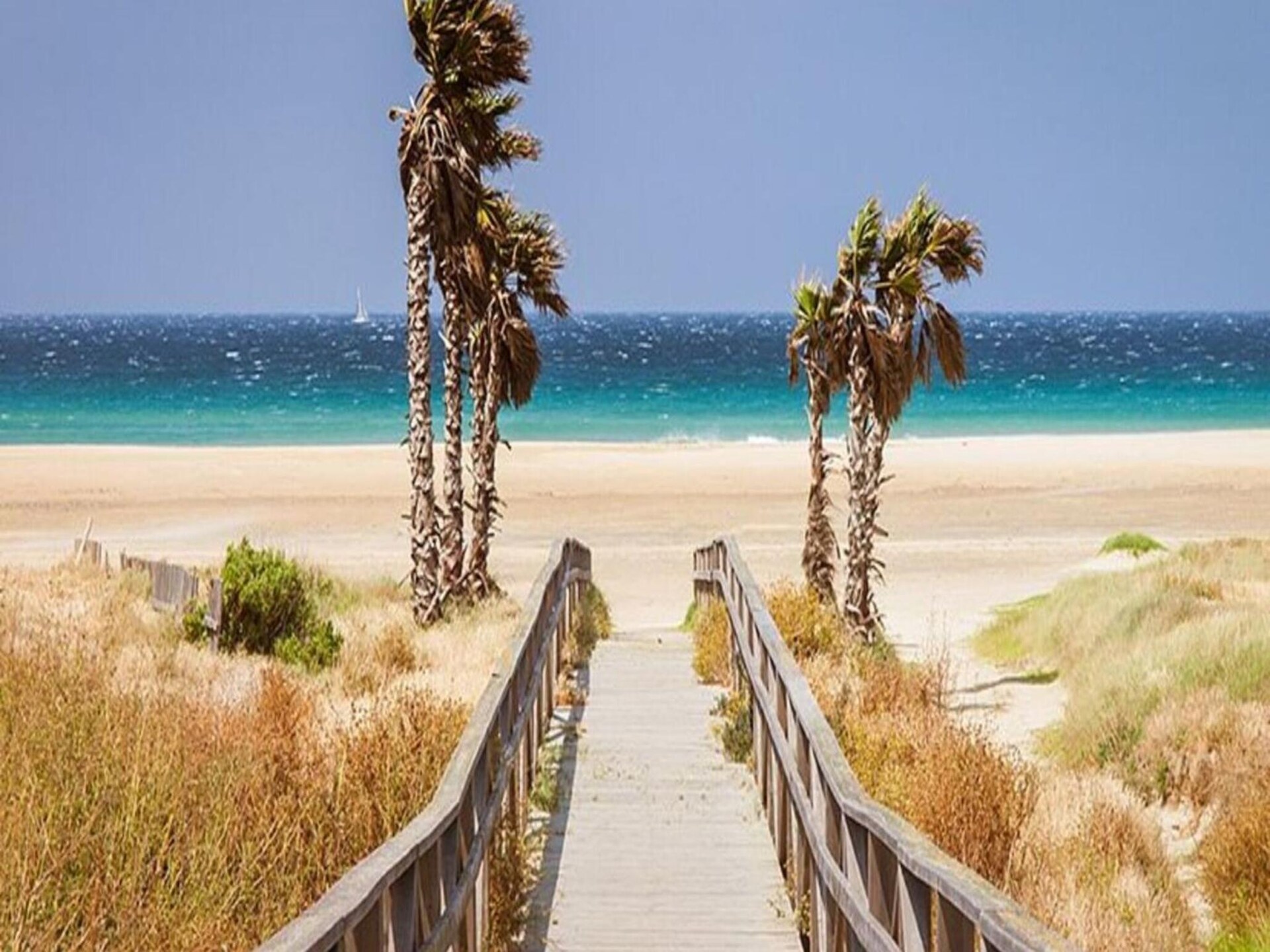 Zonnig appartement op loopafstand van strand Los Bateles in Conil - foto 5