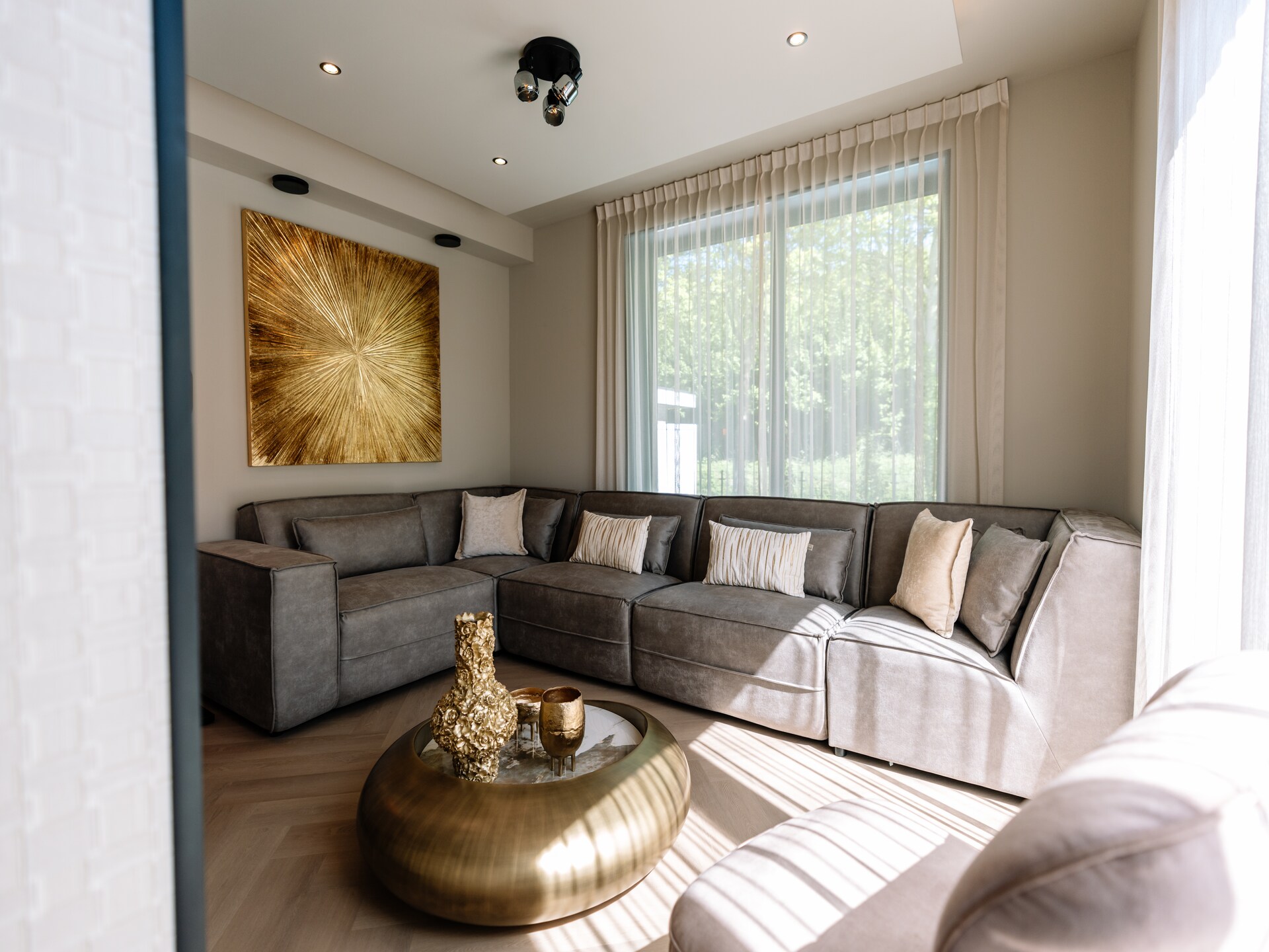 Villa Watergloed: luxe vakantiehuis met privézwembad en hottub in Waarland - foto 3