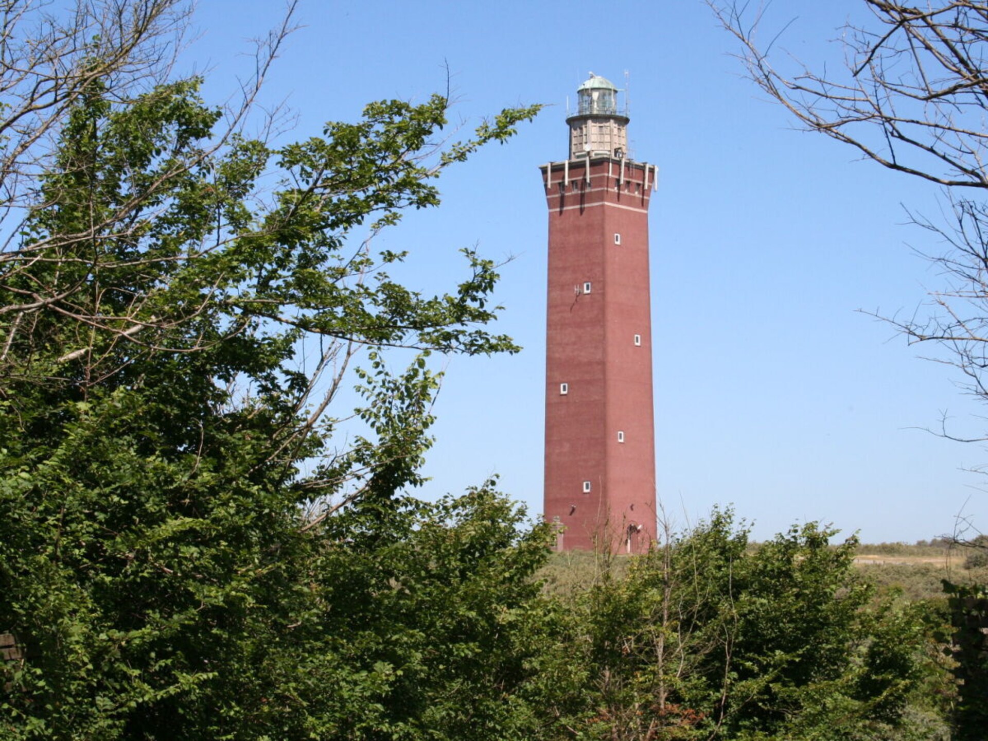 620949 - foto 27