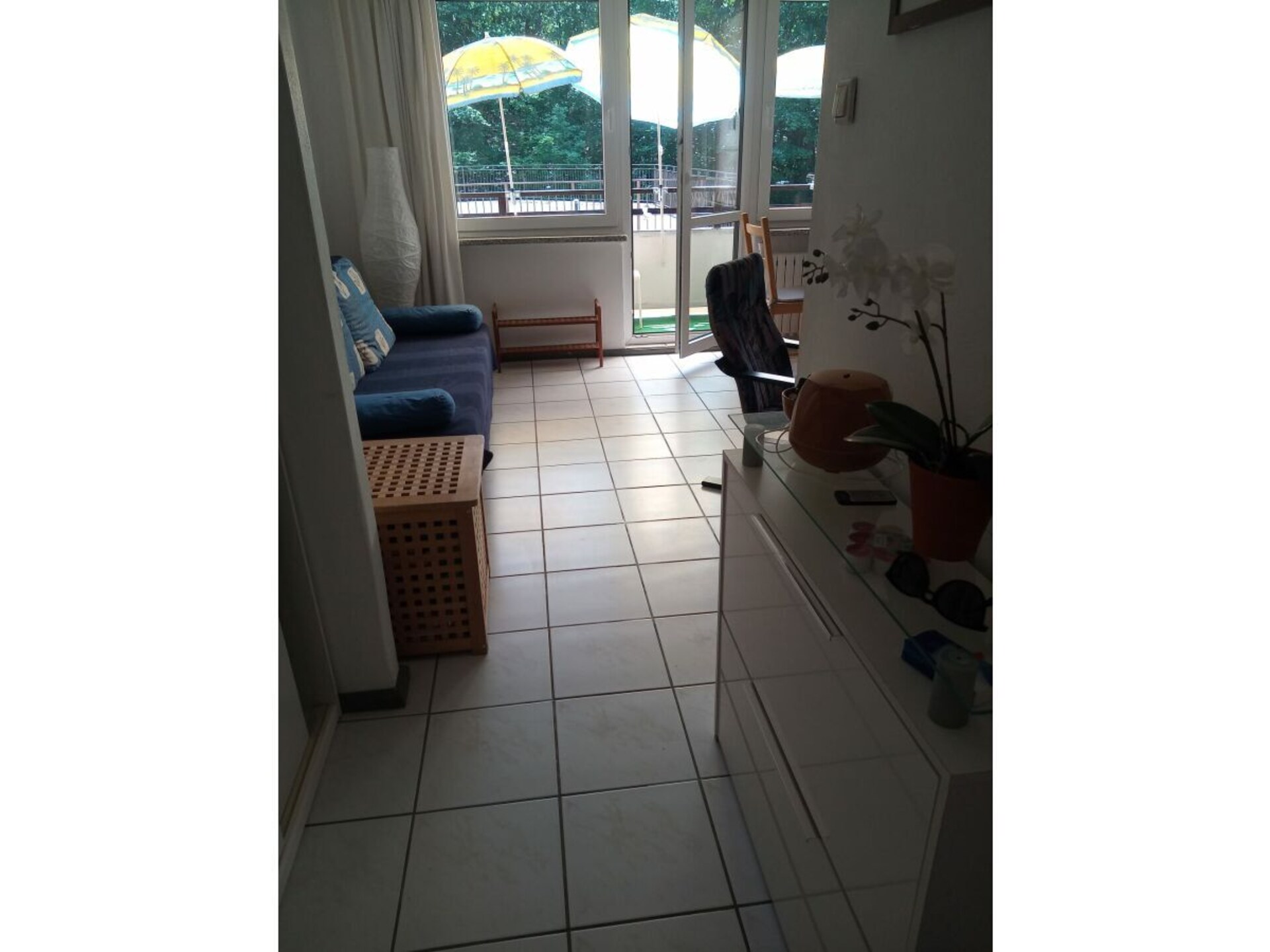 46586 - foto 6