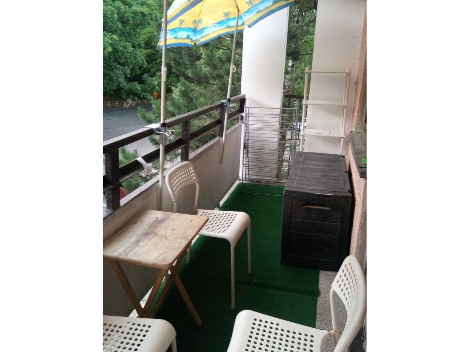 46586 - foto 12