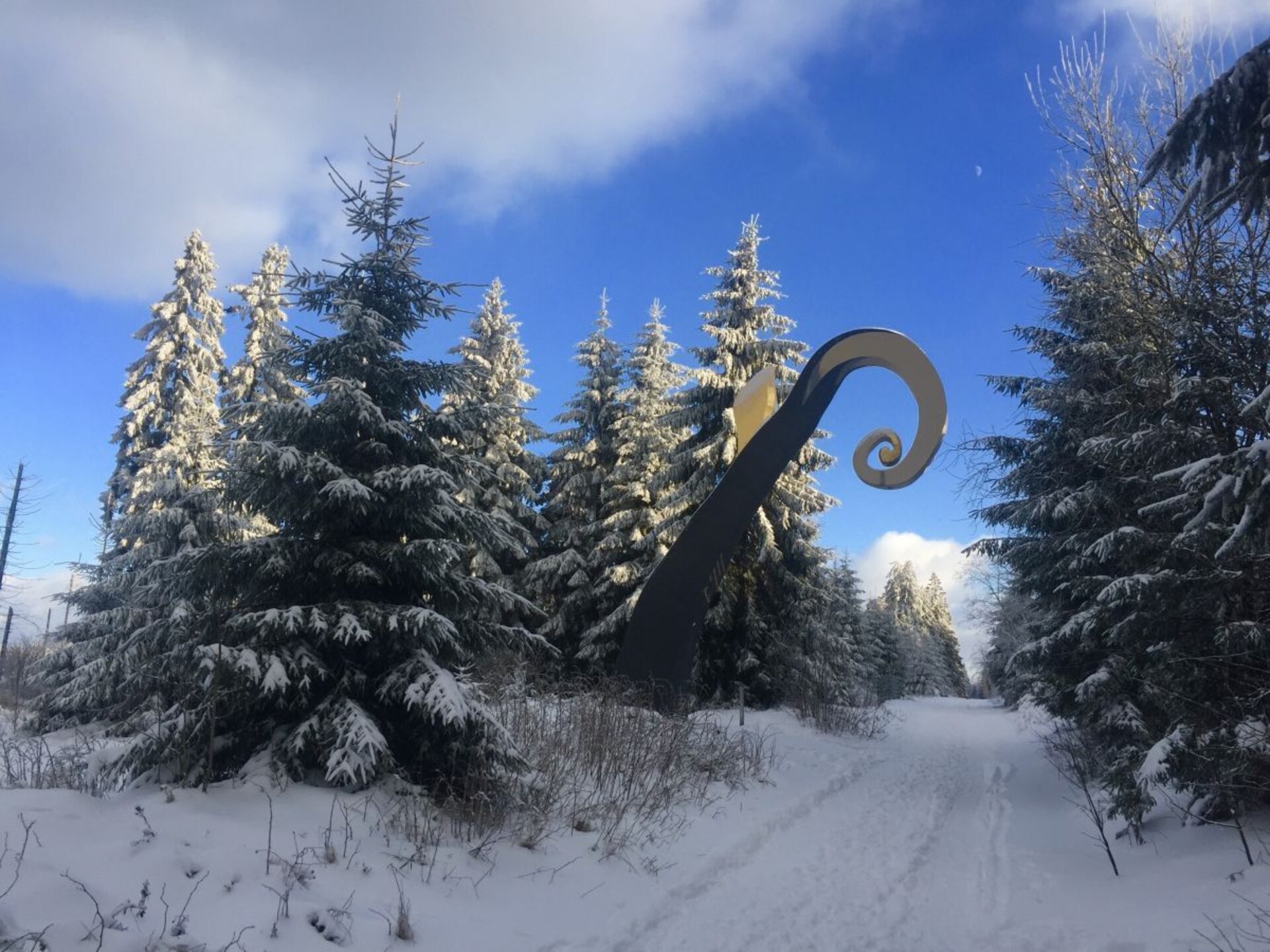 Ruim vakantiehuis voor 20 personen bij Schmallenberg, 200m van de skilift - foto 18