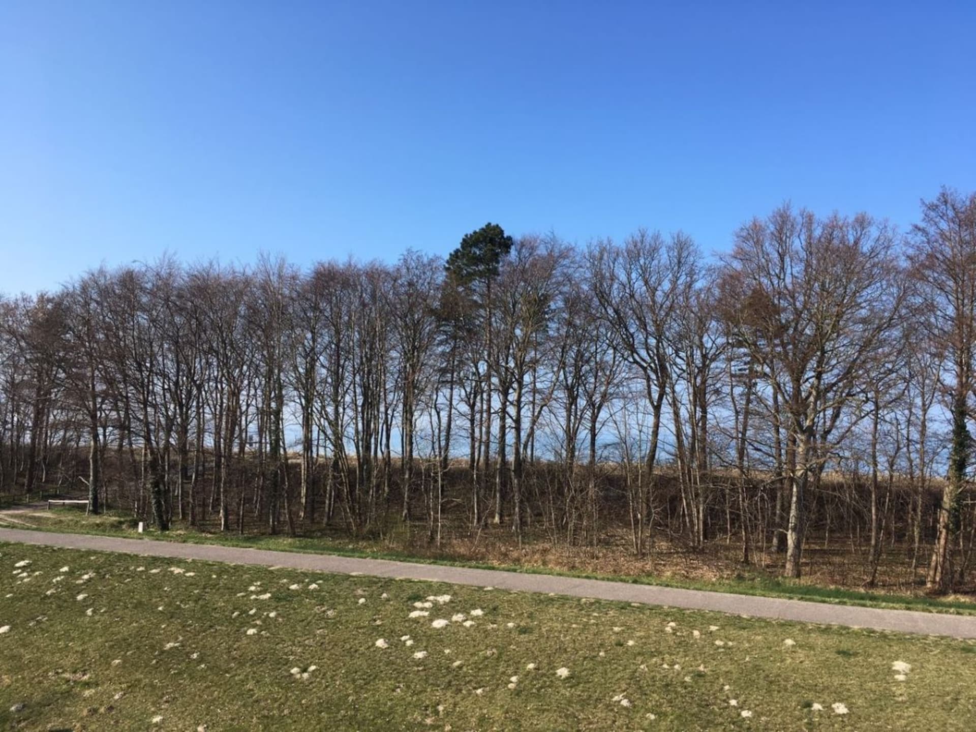 Luxe appartement direct aan het strand van Zingst met sauna en zeezicht - foto 36