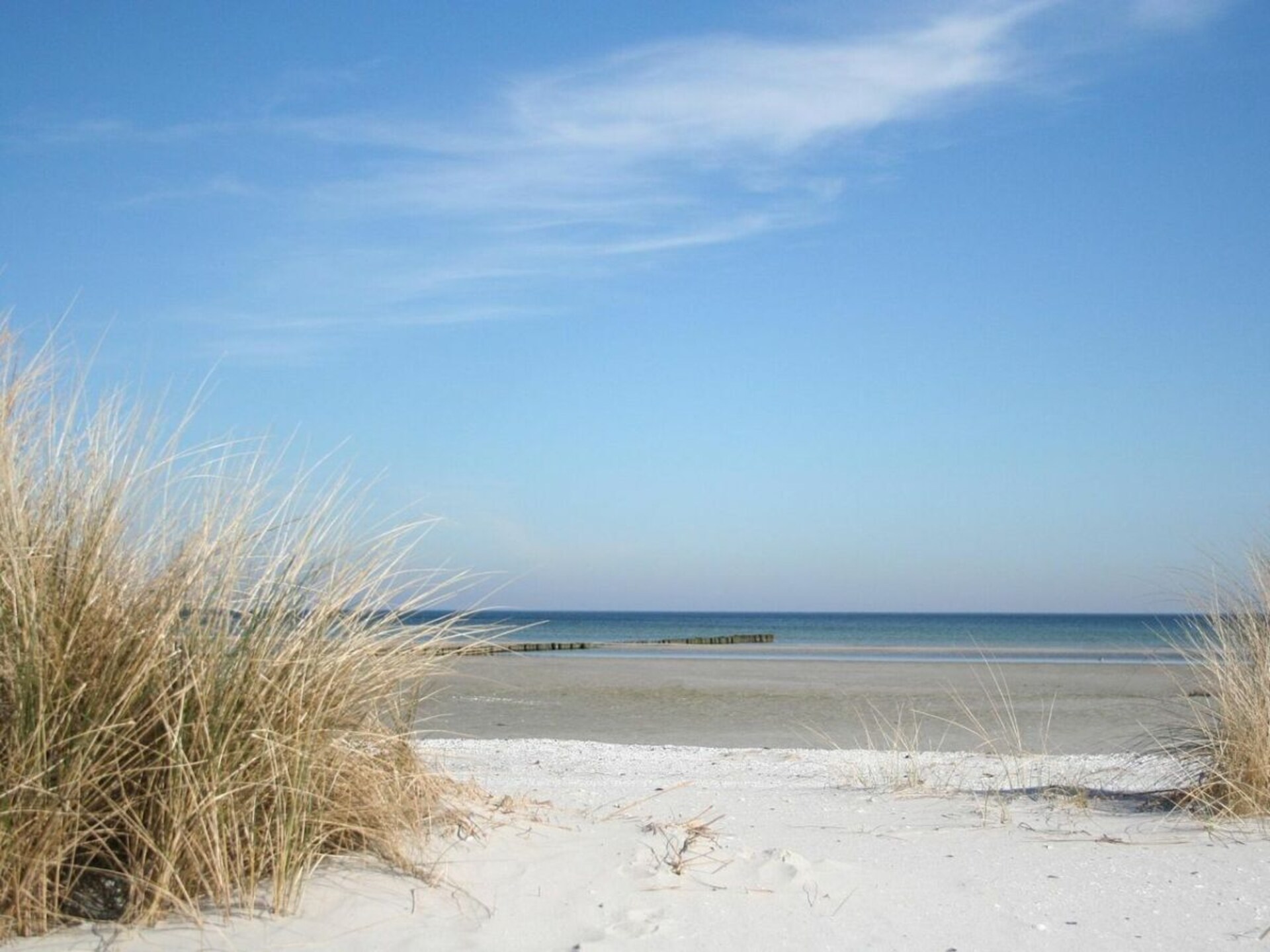 Luxe appartement direct aan het strand van Zingst met sauna en zeezicht - foto 41