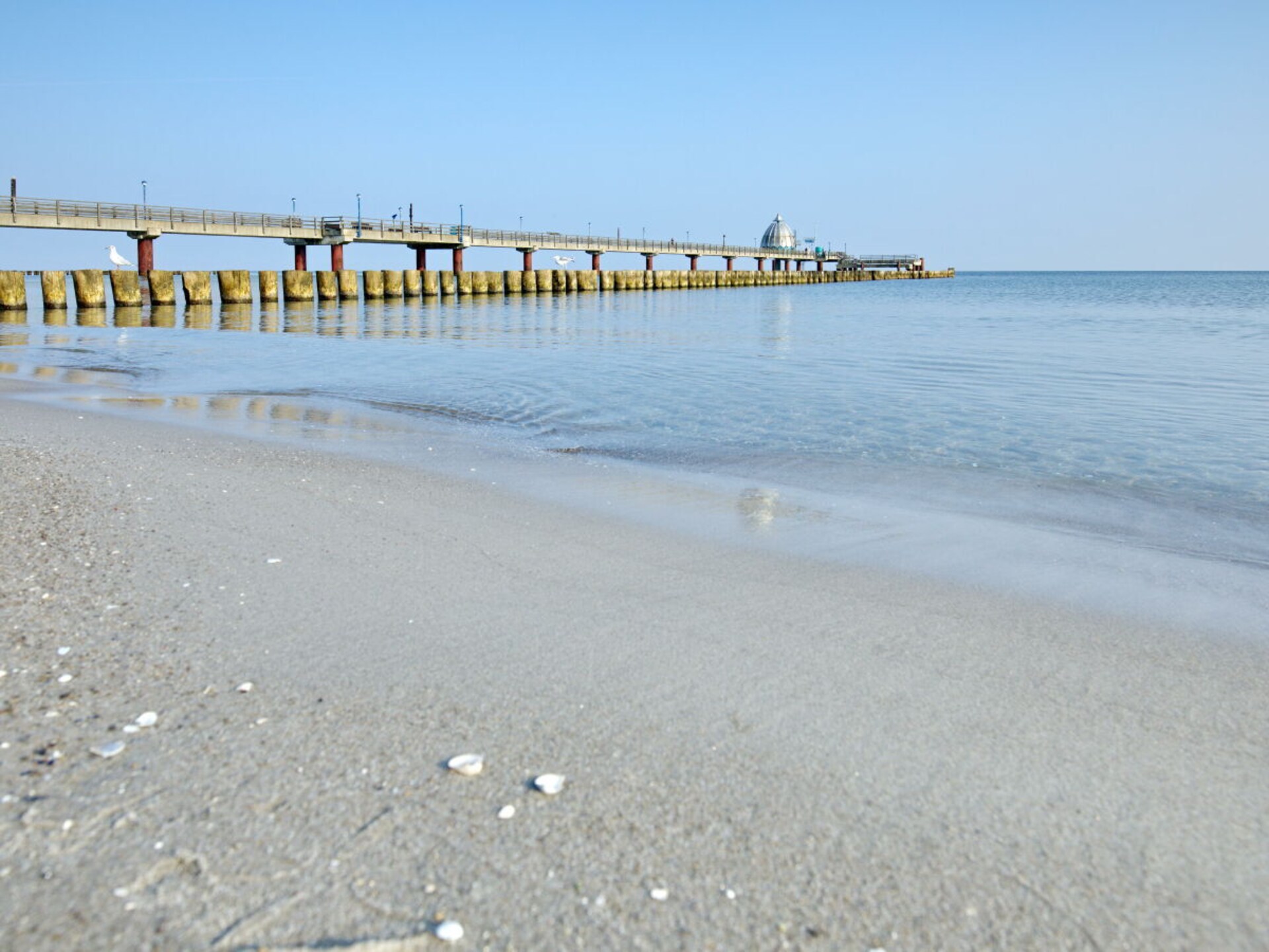Luxe appartement in Zingst met sauna, open haard en op loopafstand van het strand - foto 34