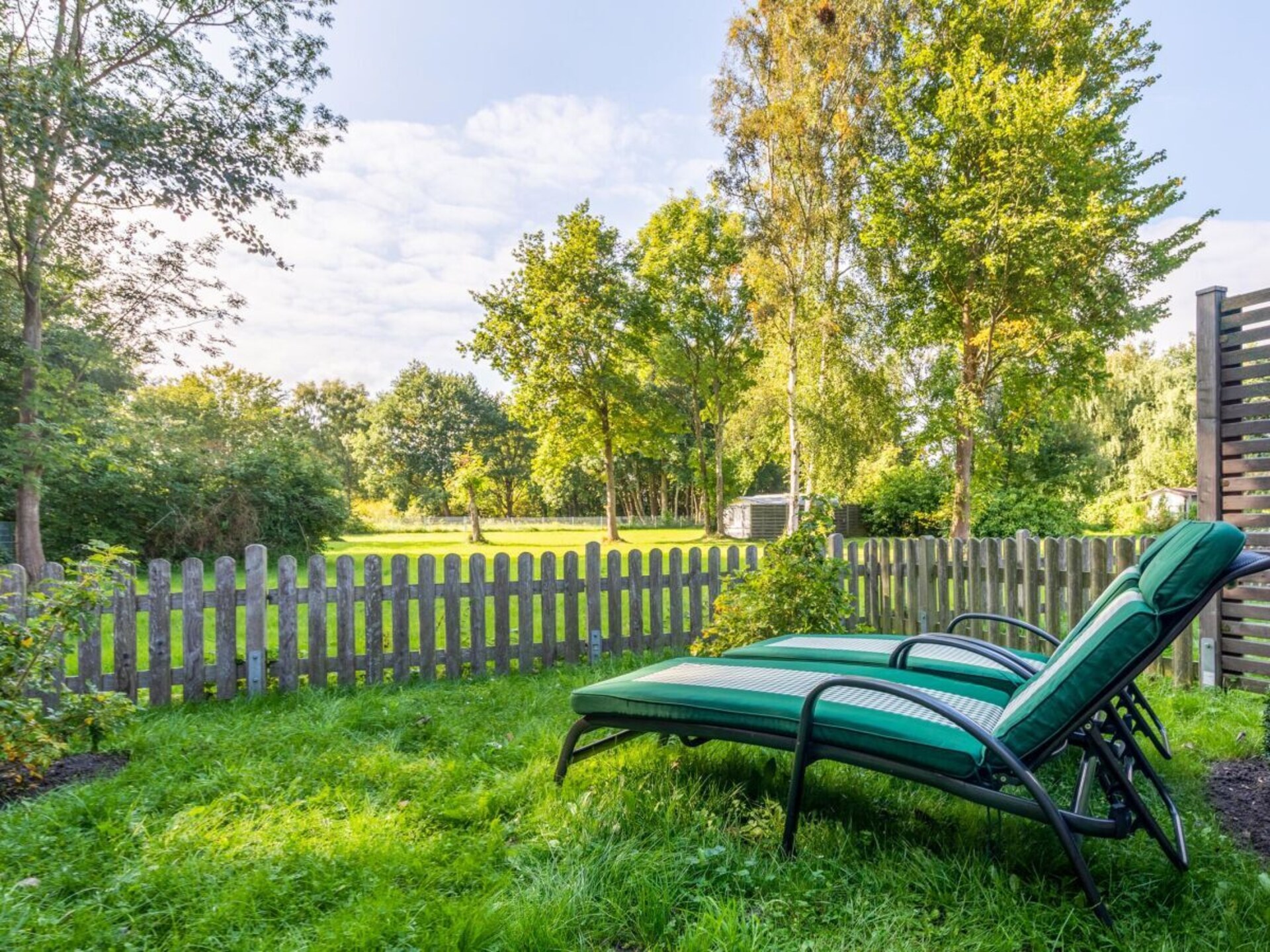 Appartement Arielle in Zingst: rustiek verblijf met terras op zuidwest - foto 3