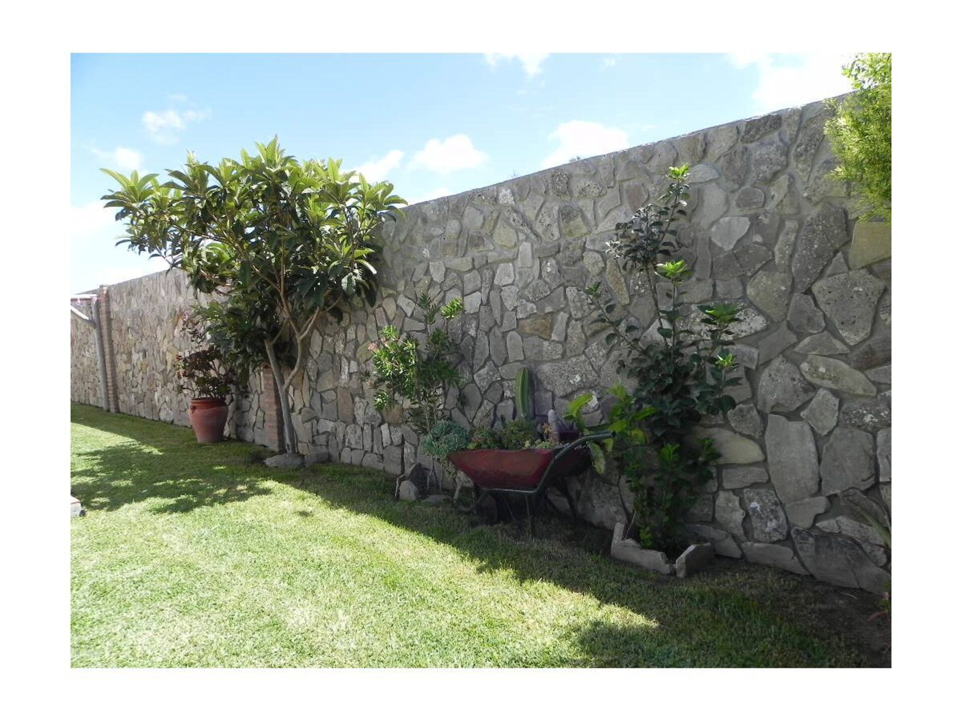 498266 - foto 26