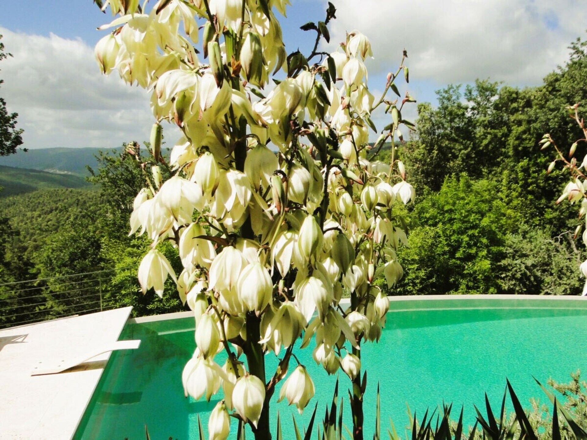 Luxe panoramavilla met privézwembad in Toscane voor 11 personen - foto 8