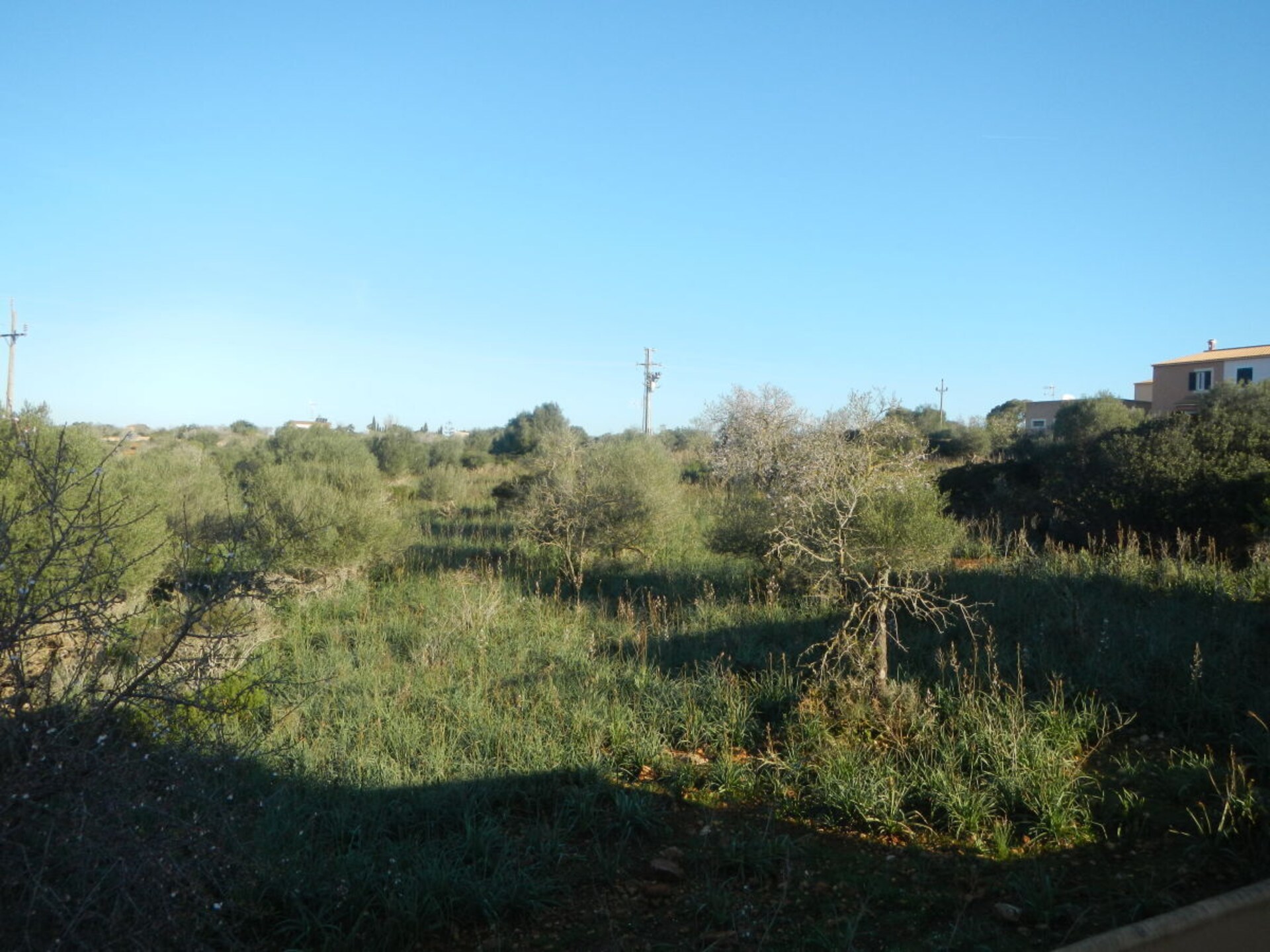 Centraal gelegen vakantiehuis in Cala Mandia met privézwembad - foto 14