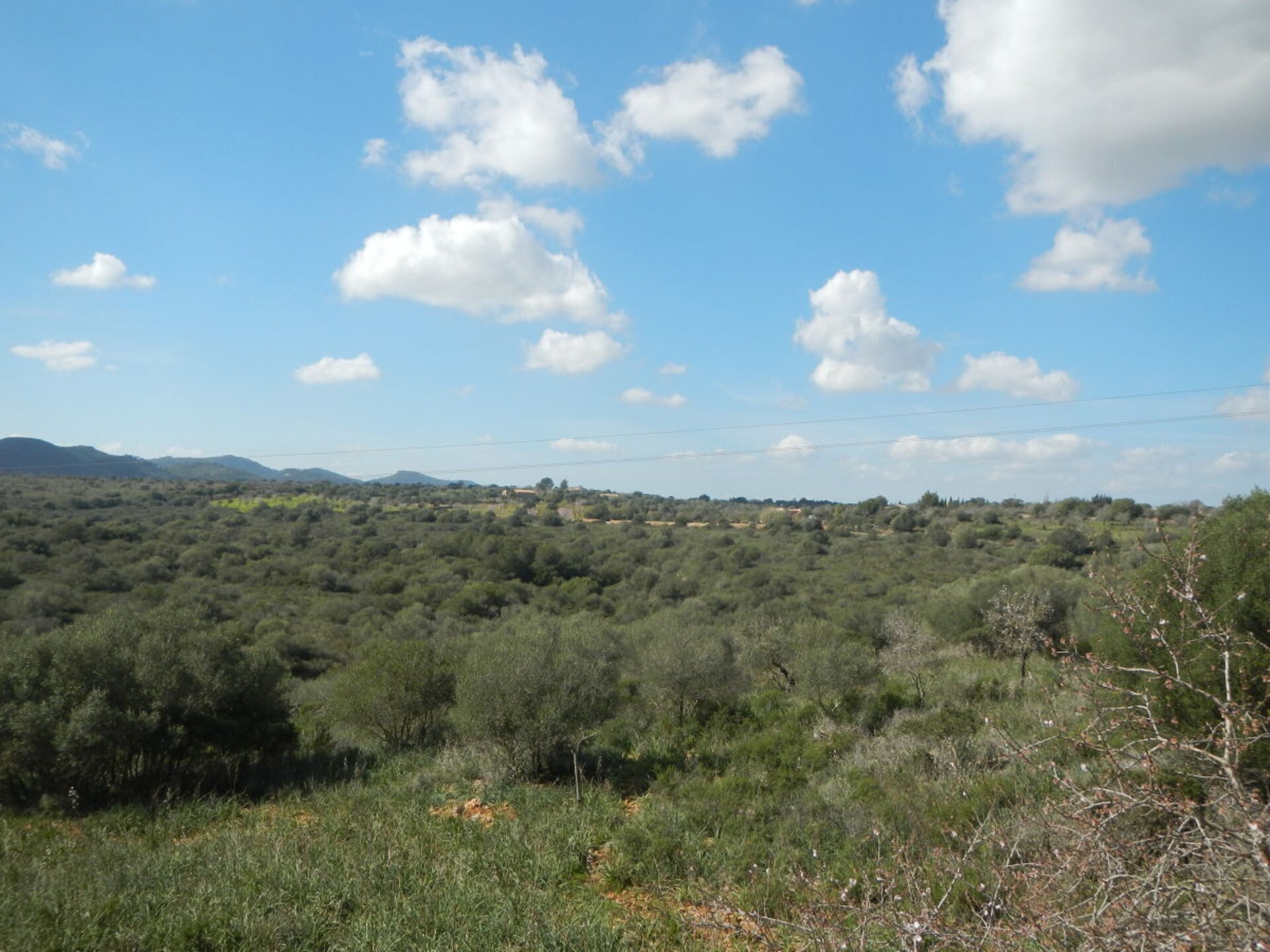 Centraal gelegen vakantiehuis in Cala Mandia met privézwembad - foto 15
