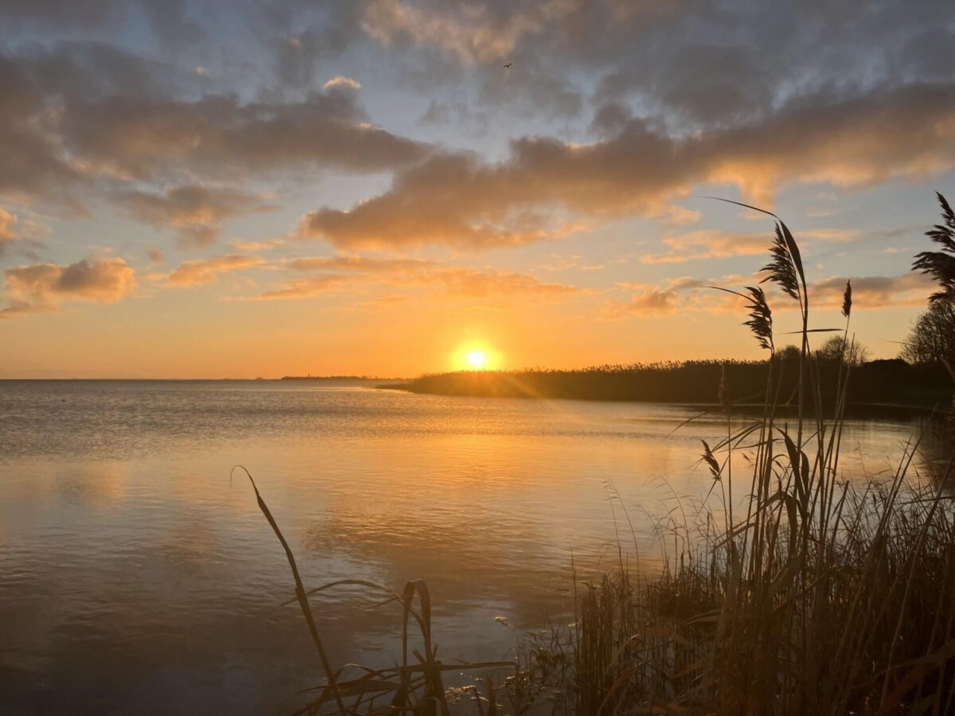 Ruim 4-sterren maisonnette met waterzicht bij Tremter Bodden - foto 40