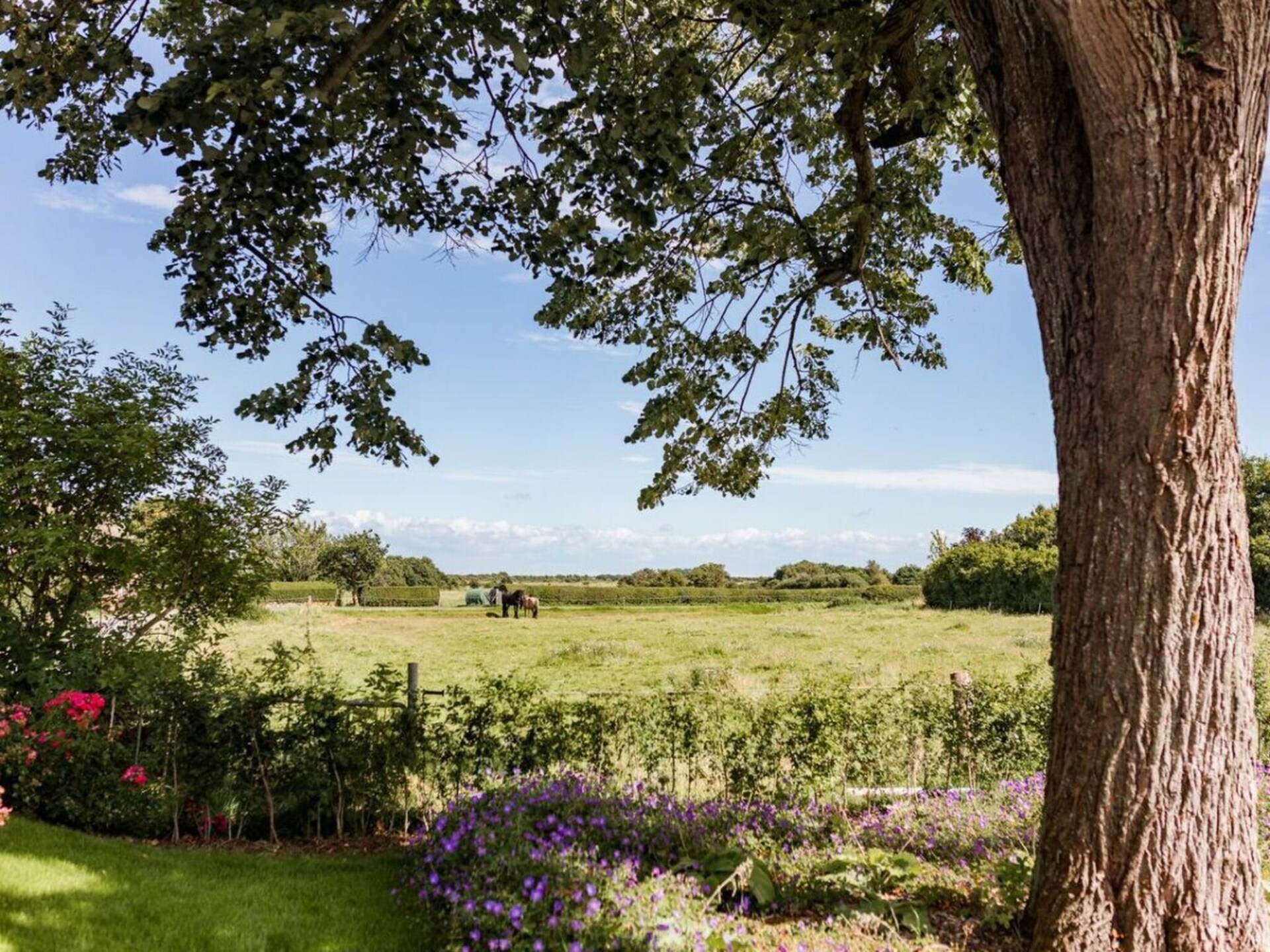 Caras Hus in Midlum: 180m² luxe met privésauna aan de Noordzeekust - foto 22