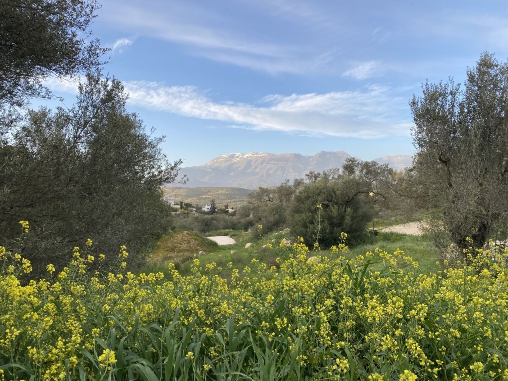 Panoramisch appartement met zee- en bergzicht in Kamilari, Kreta - foto 23