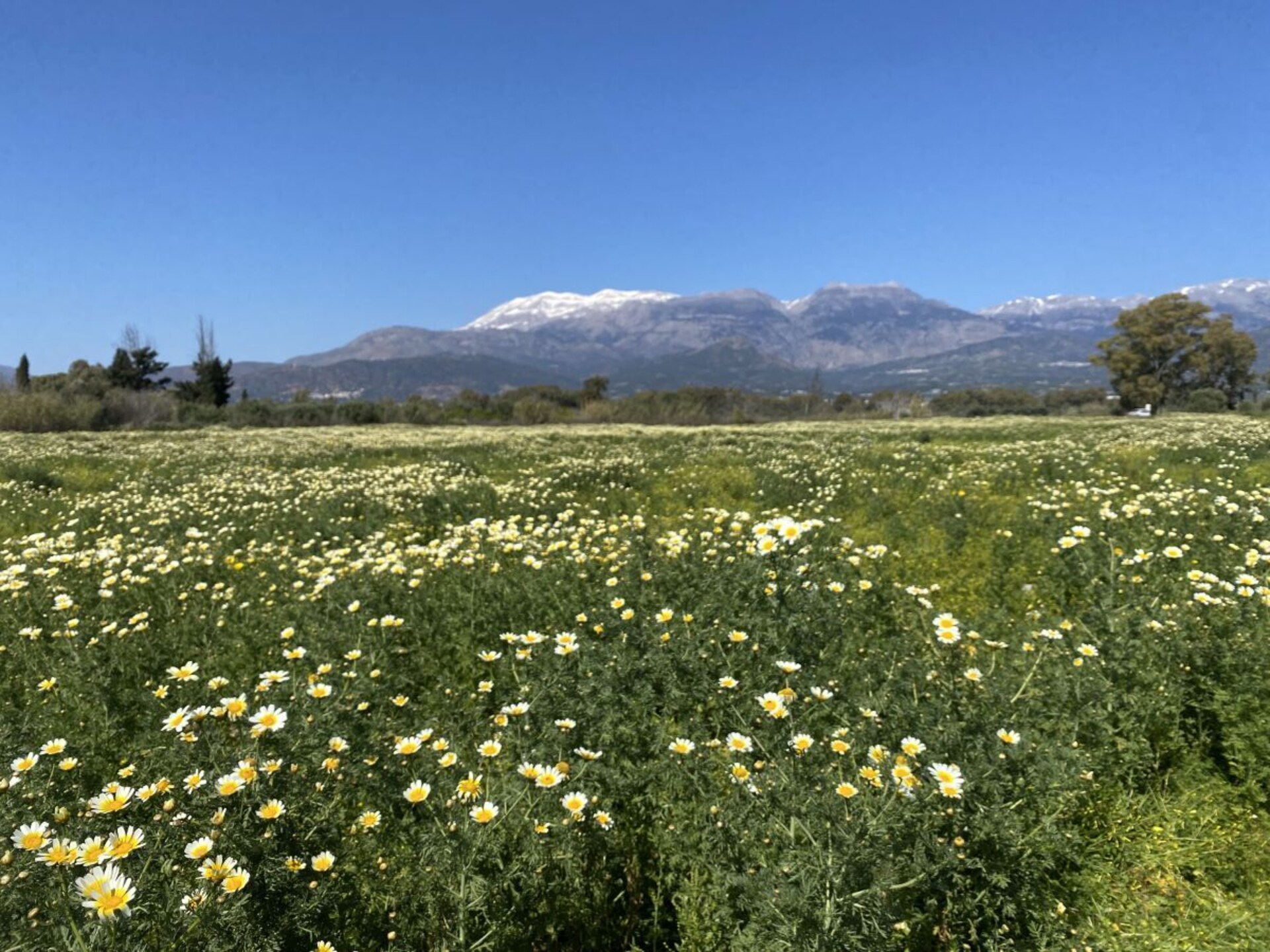Panoramisch appartement met zee- en bergzicht in Kamilari, Kreta - foto 24