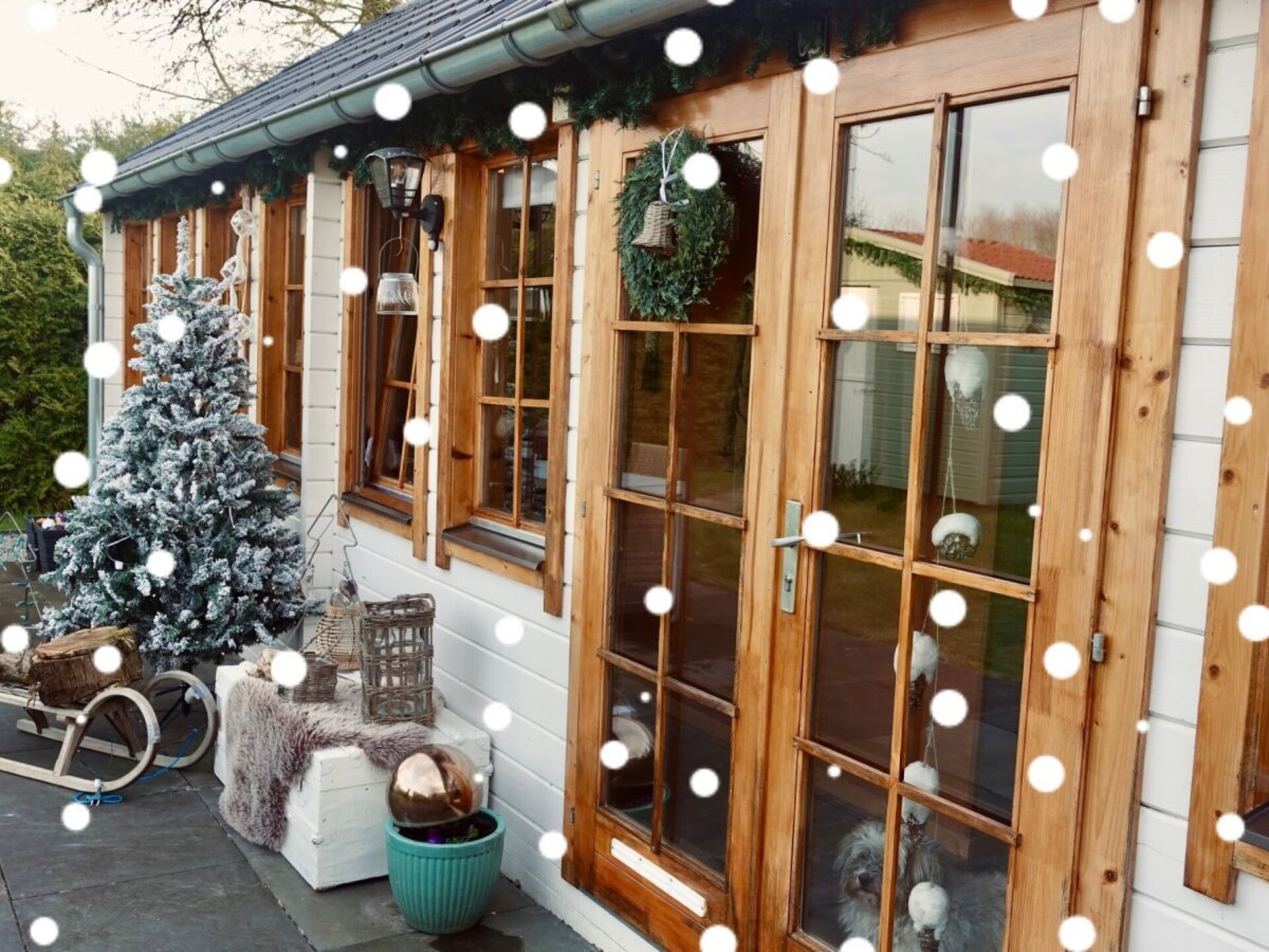 Tiny Botanic House: knus vakantiehuis met tuin en zwembad bij de Waddenzee - foto 7