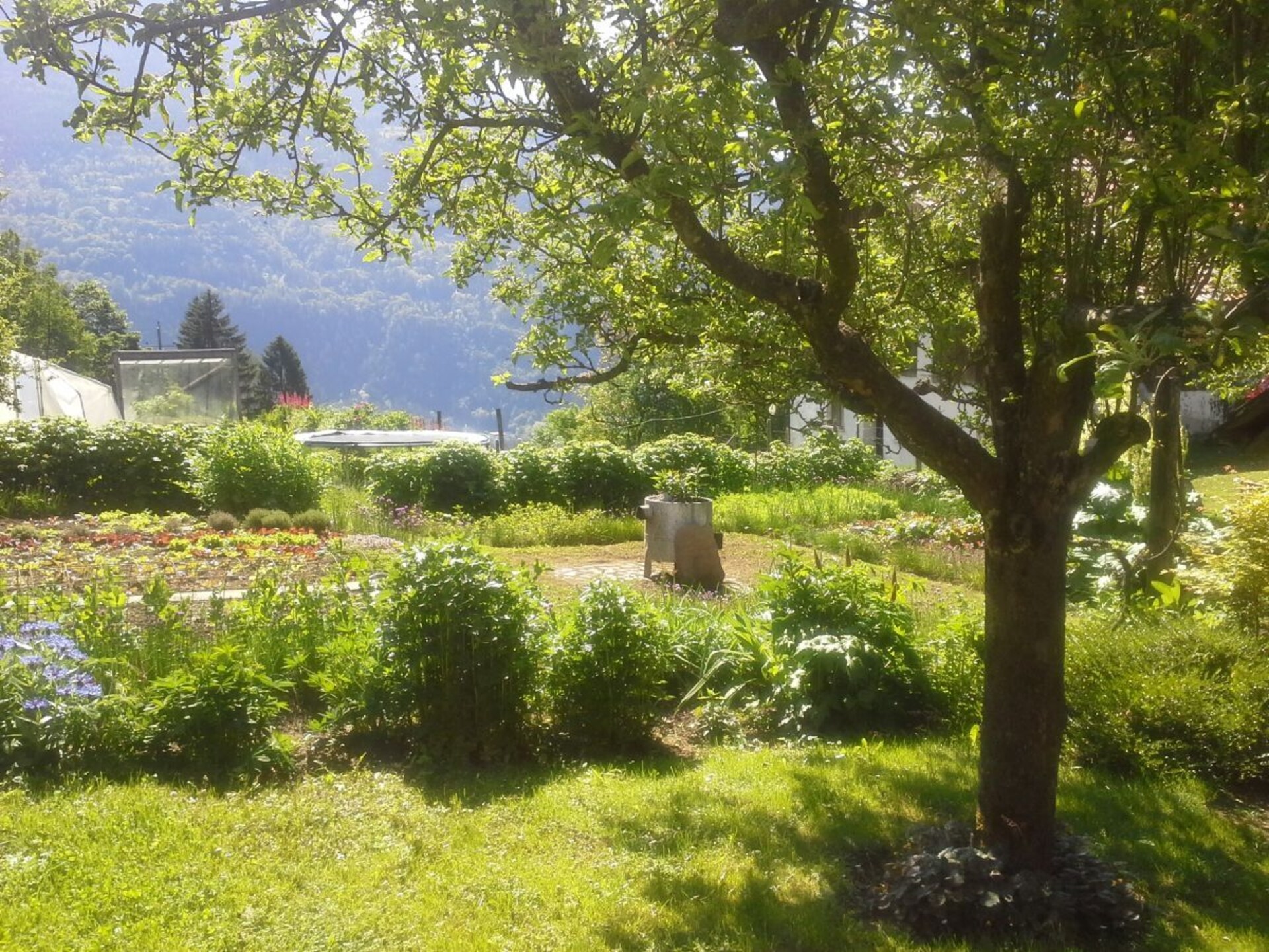 Allergievriendelijk vakantiehuis met panoramisch uitzicht bij Millstatt - foto 3