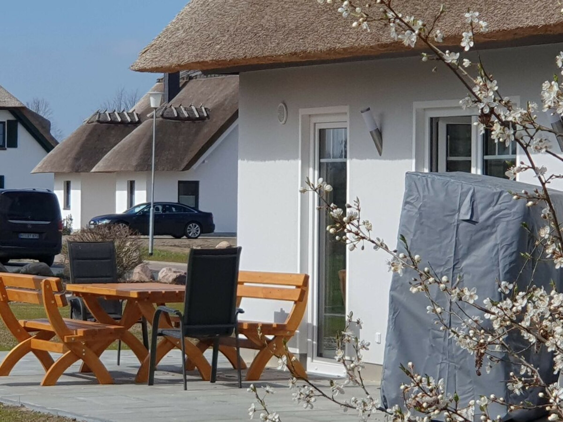 Rieten dak idylle aan de Üselitzer Wiek – Nieuw vakantiehuis voor 6 personen - foto 4